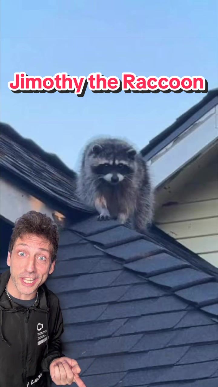 @Odd Danny