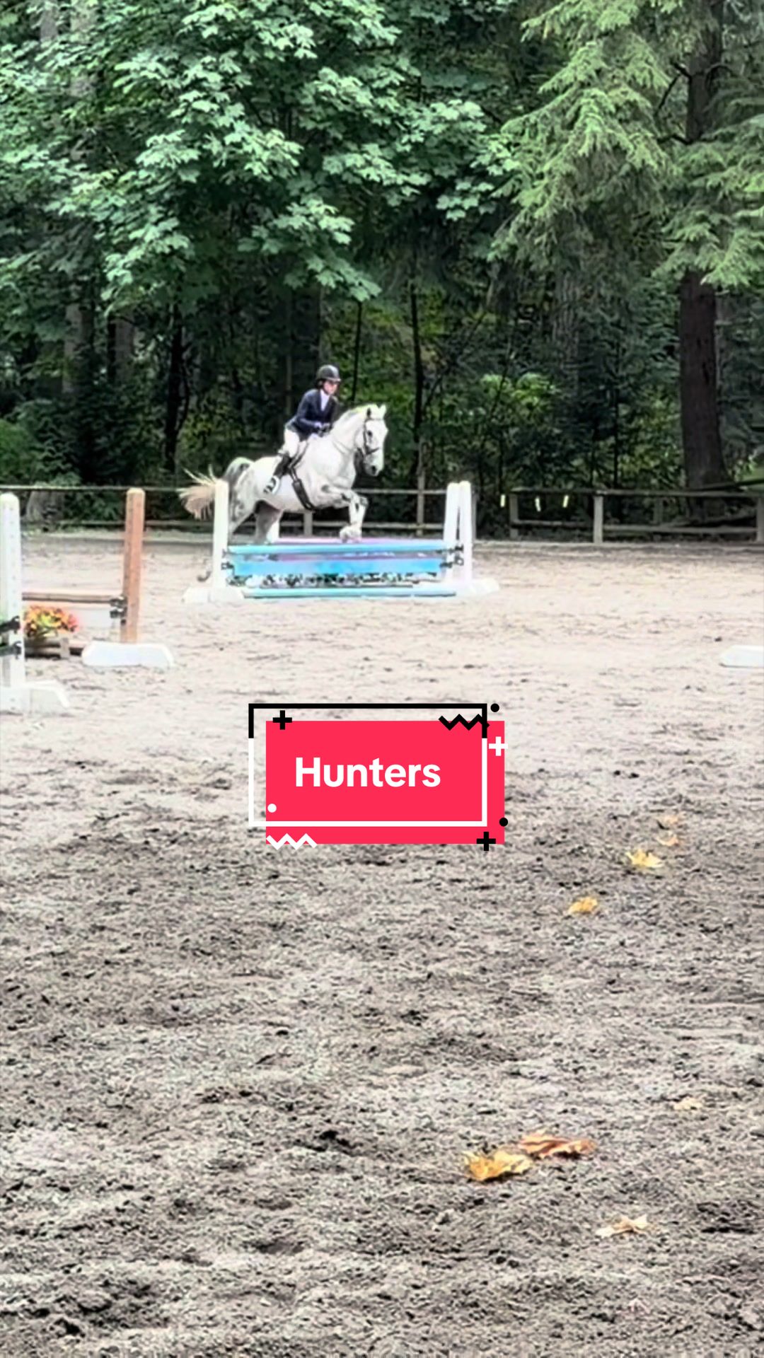 @BlueStarEquestrian