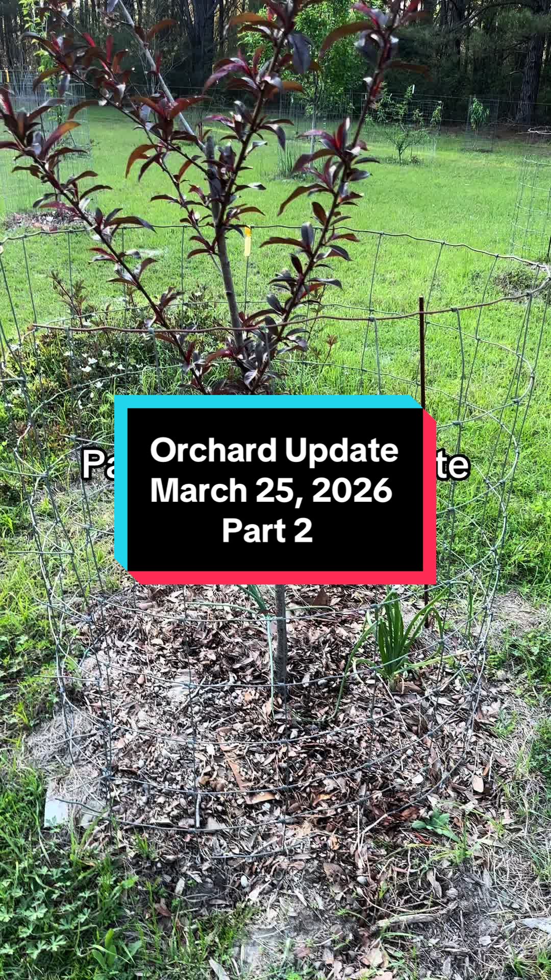 @Old_Stillmore_Homestead