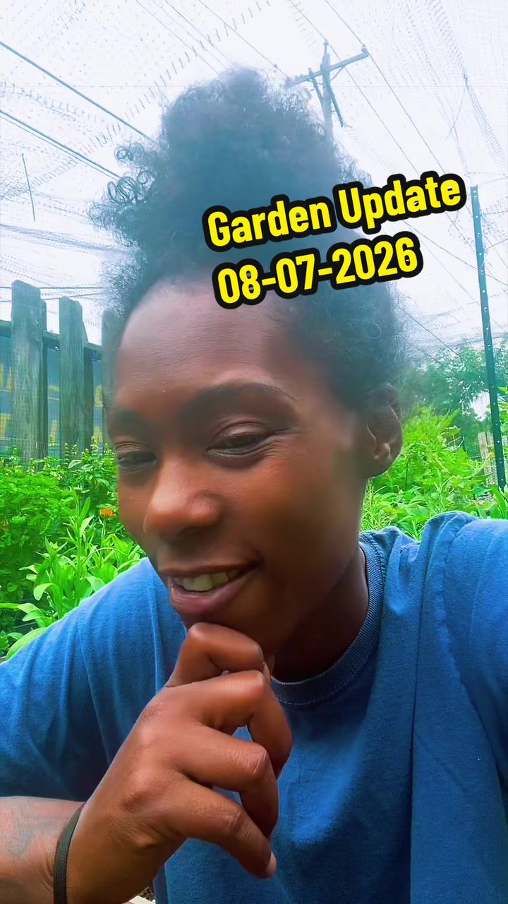 @Di'Ali Rich LLC