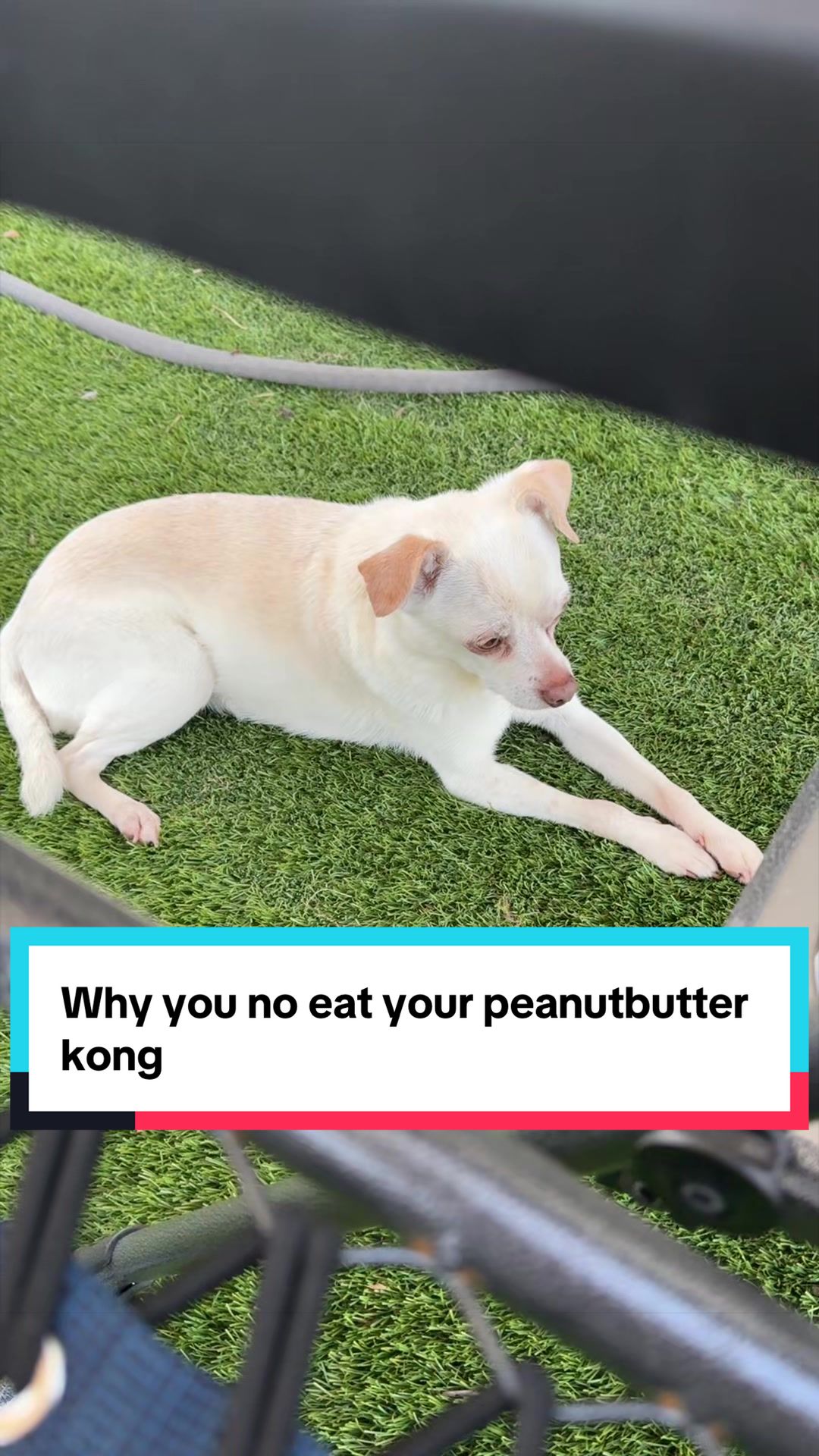 @Samantha