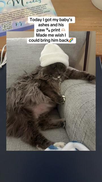 @Sonnyboy 🐈 Staci RN