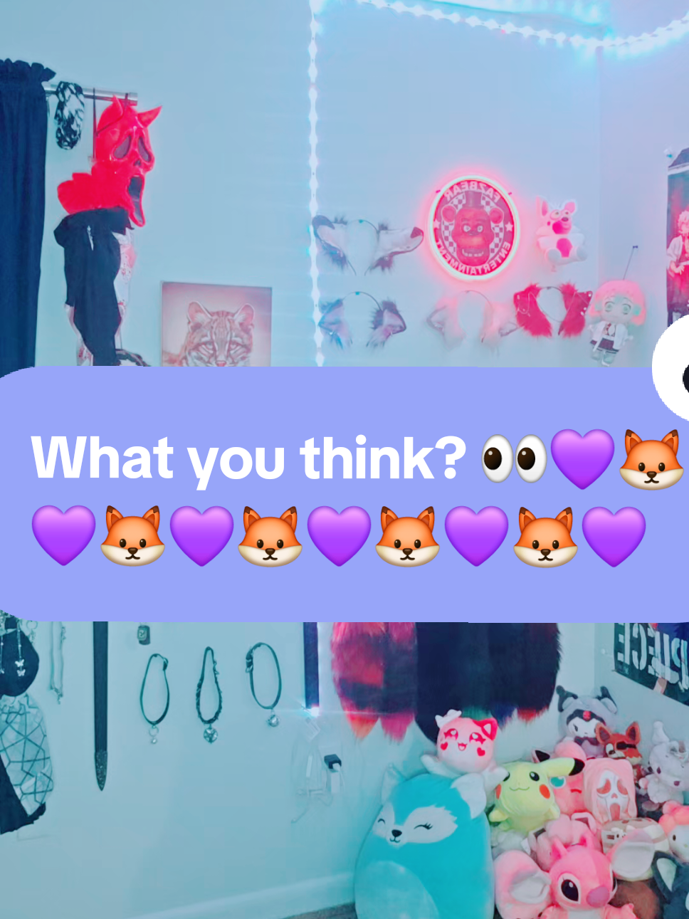 @wolfy.the.wolf