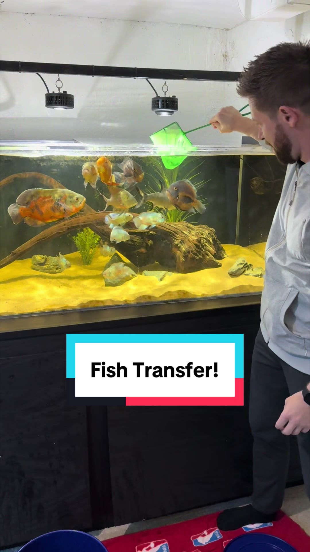 @Cichlid Bros