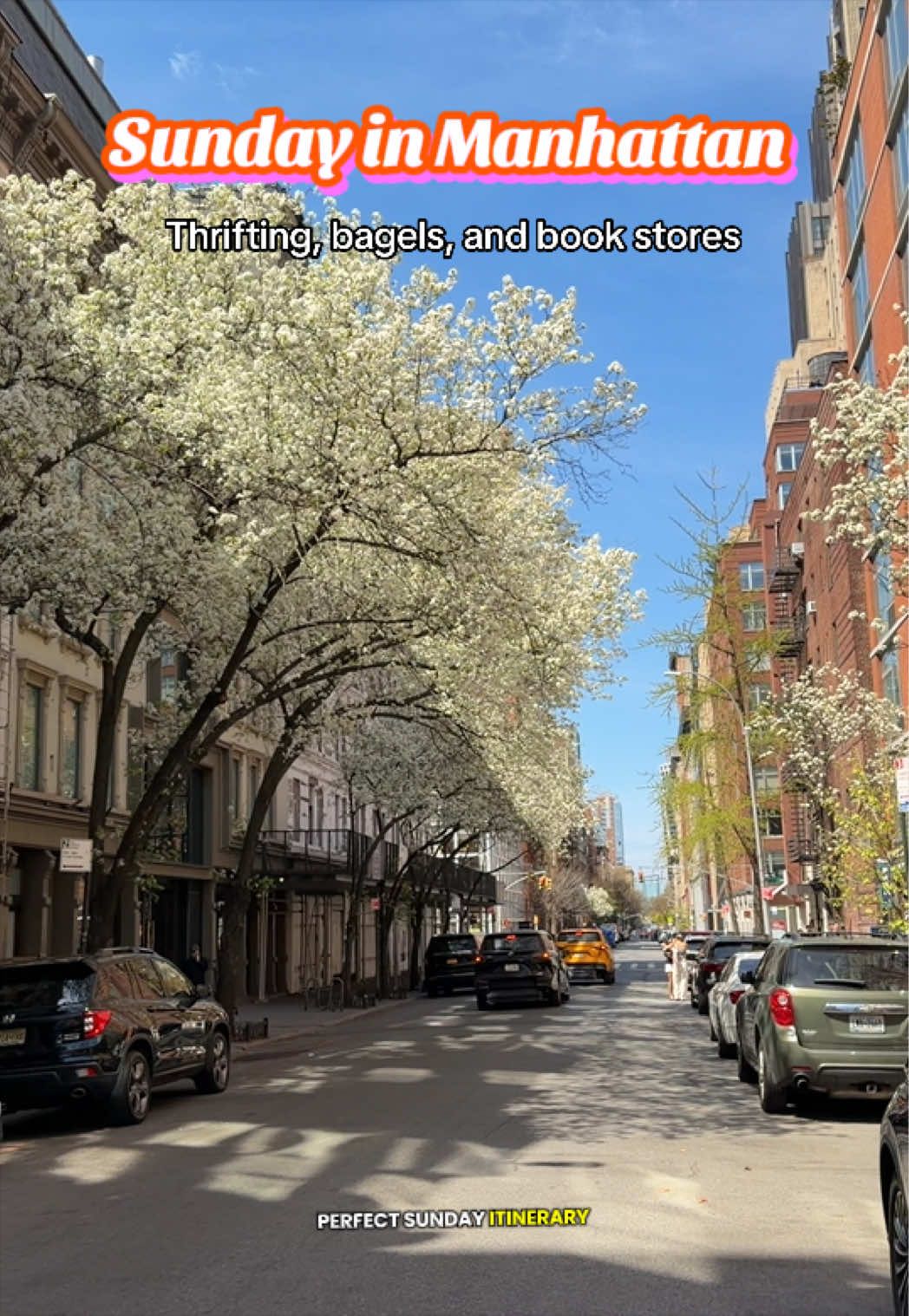 @Imola | NYC