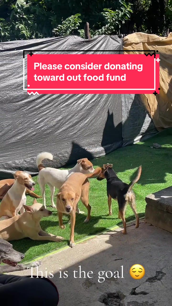 @cemevafoundation