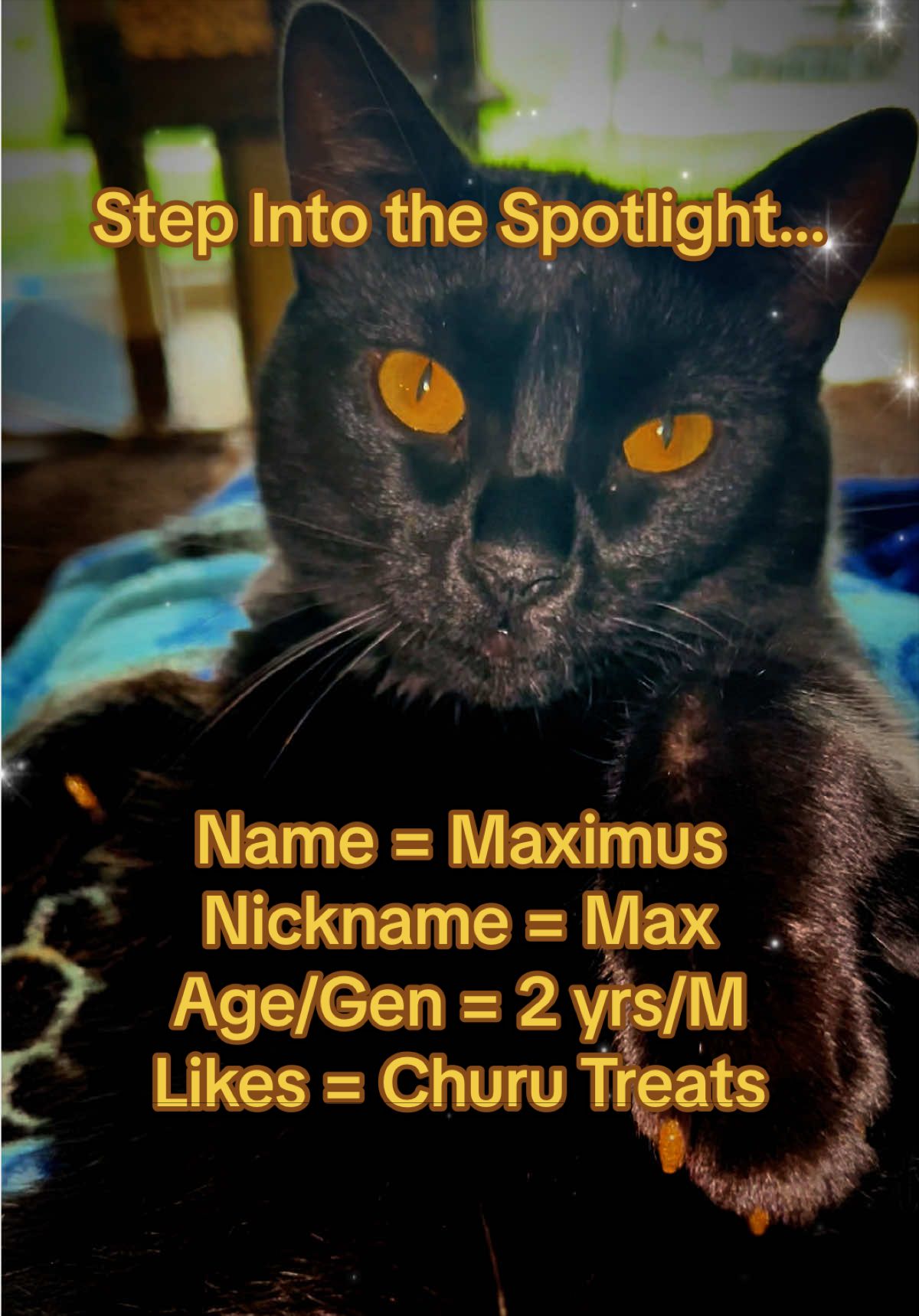 @Max & Zorra&rsquo;s Mom