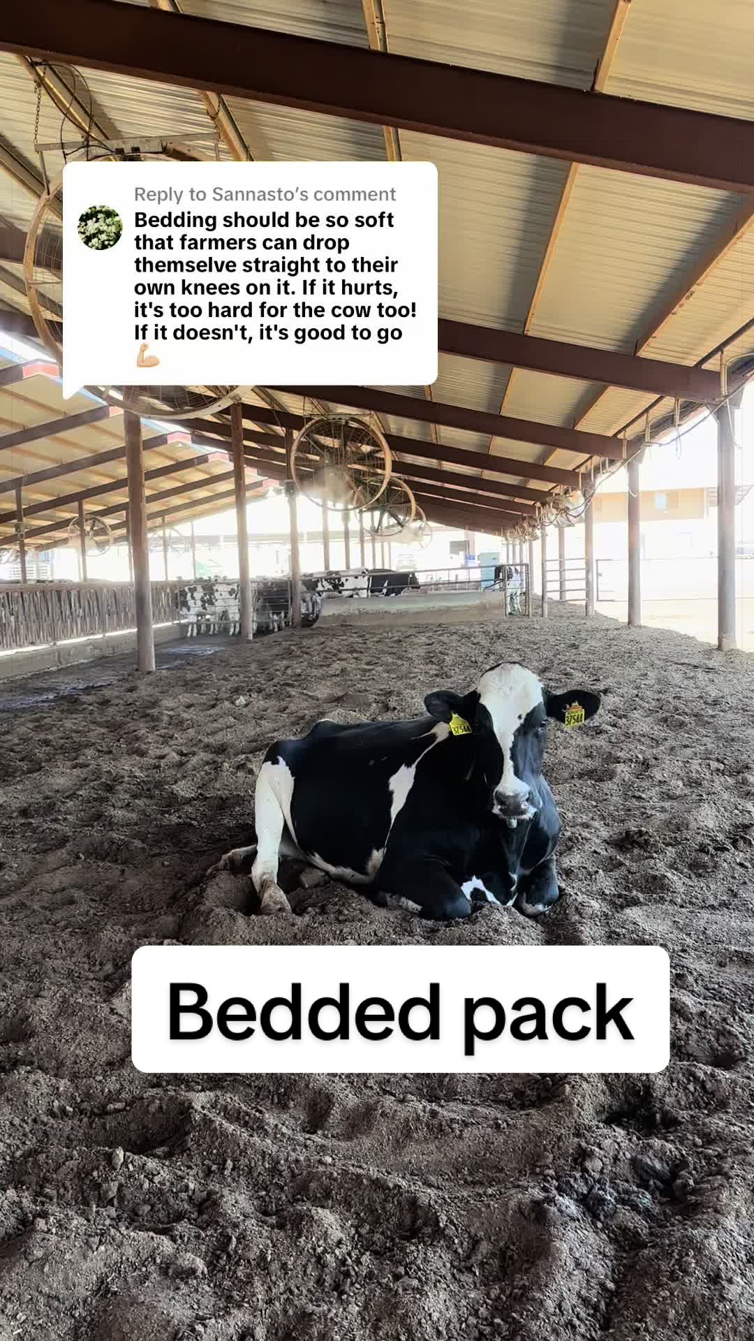 @Dairy Vet Dr. Michelle