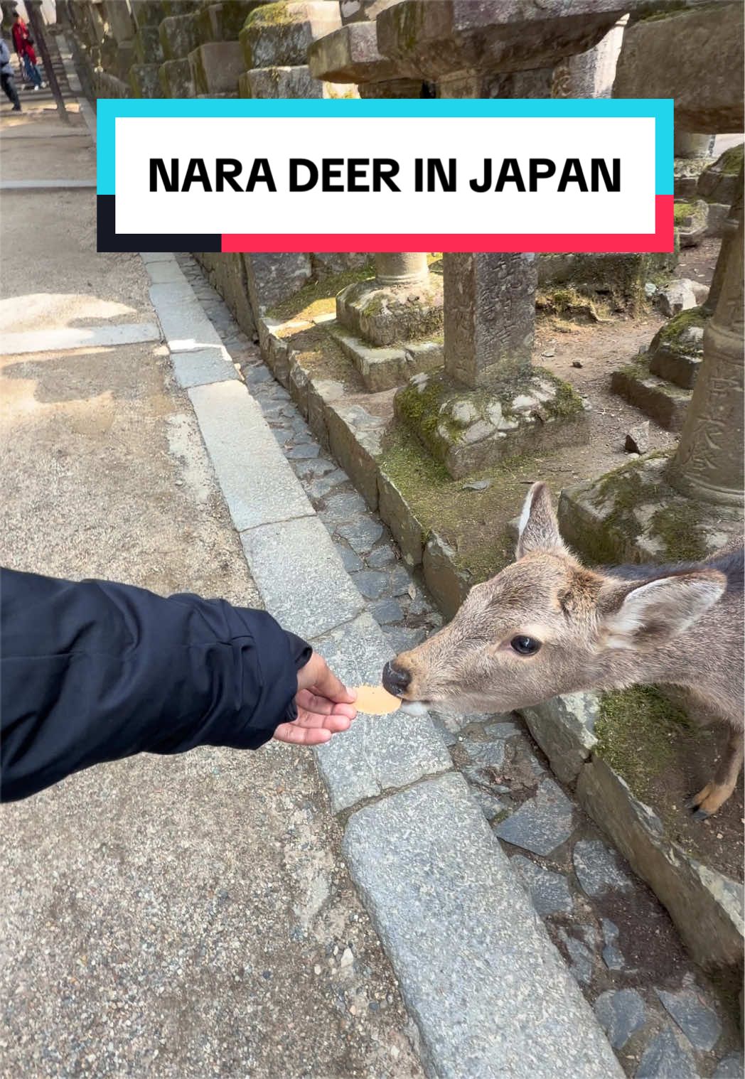 @Kenya :)