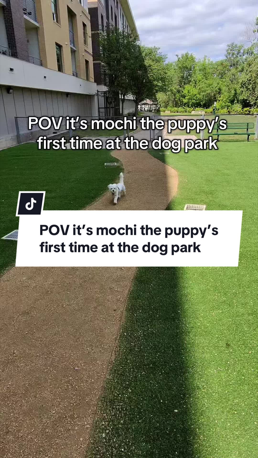 @Mochithemenace
