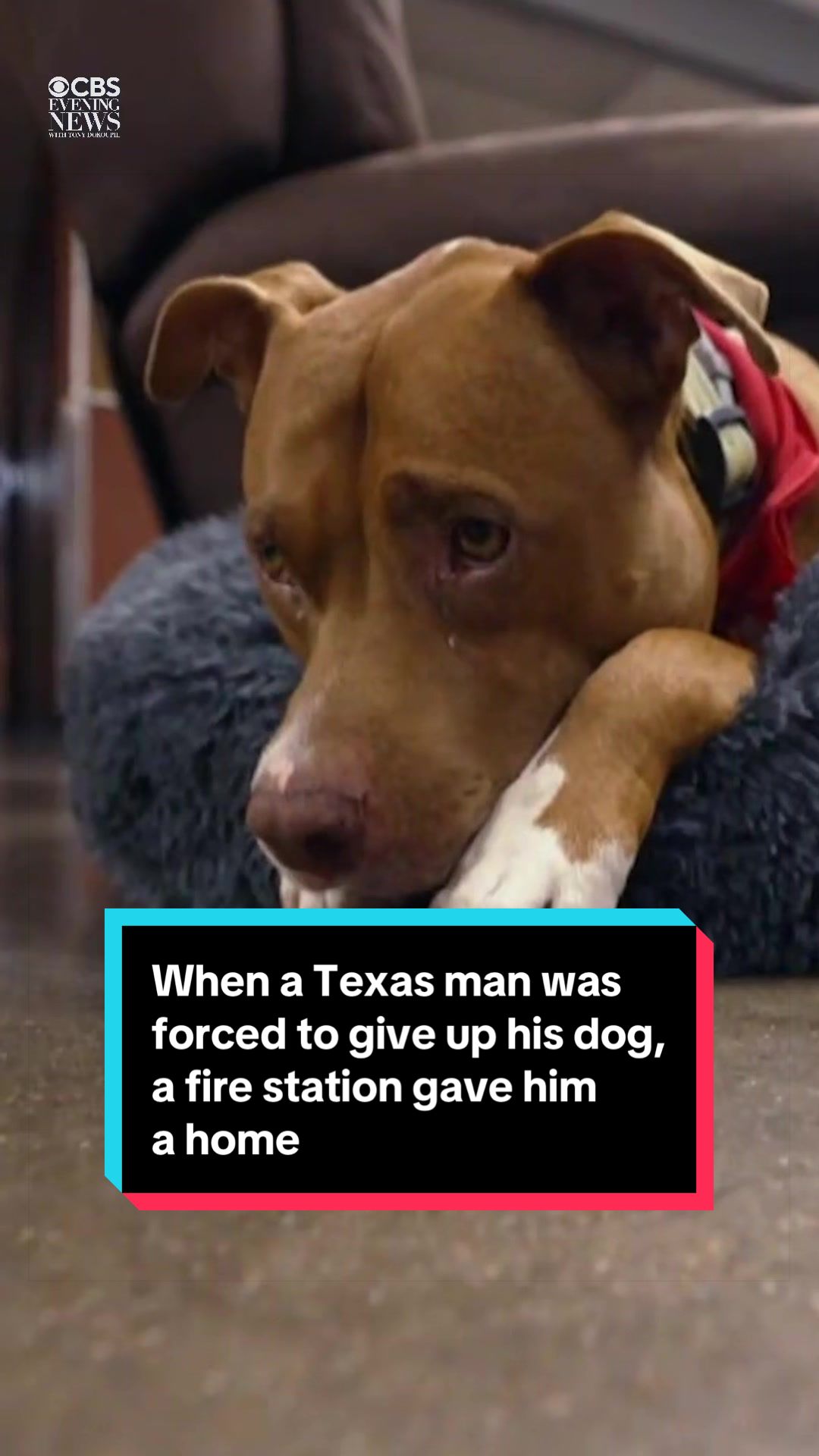 @CBSEveningNews