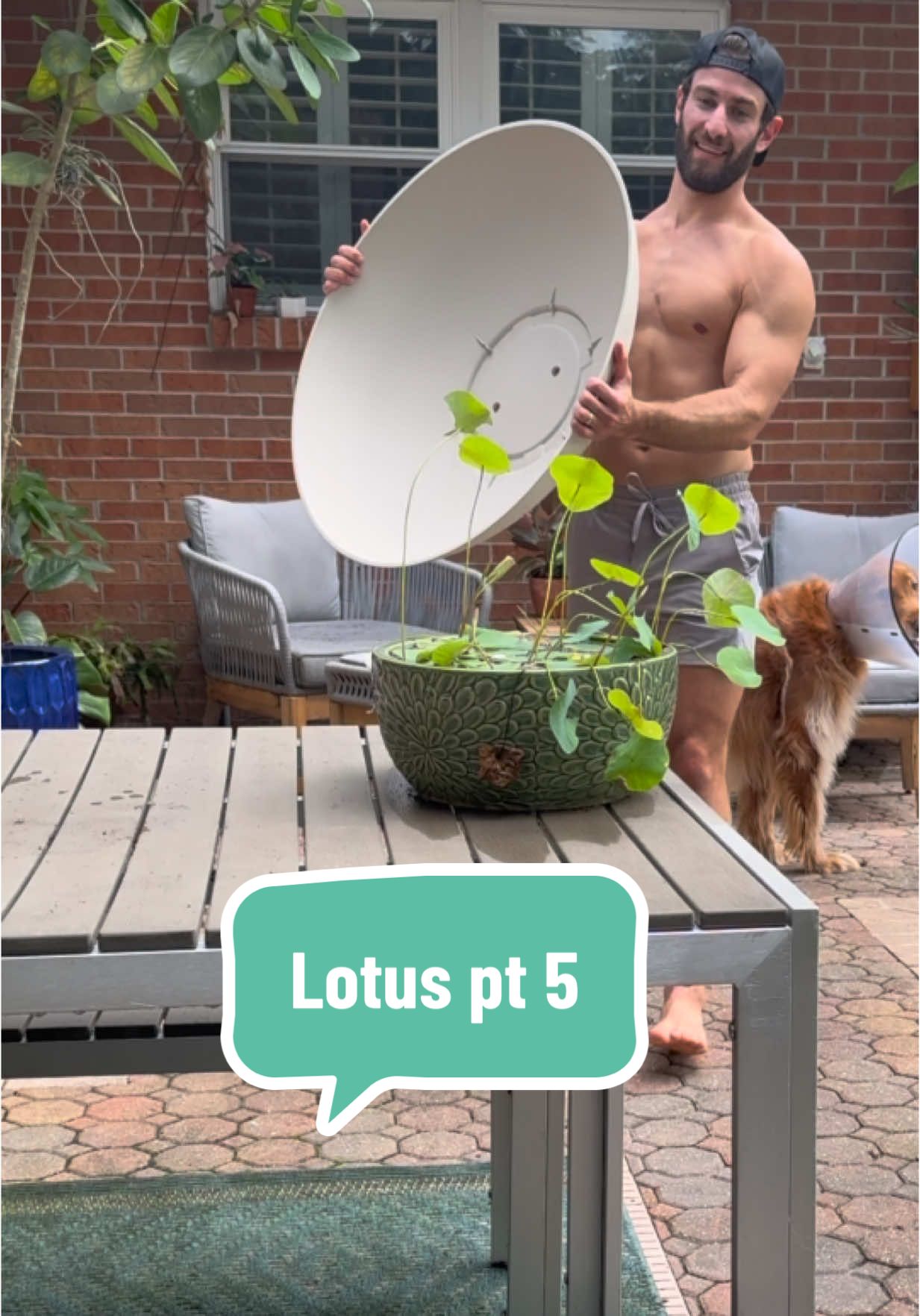 @fitplantguy