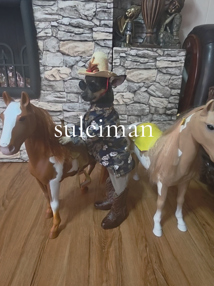 @suleiman 🐕