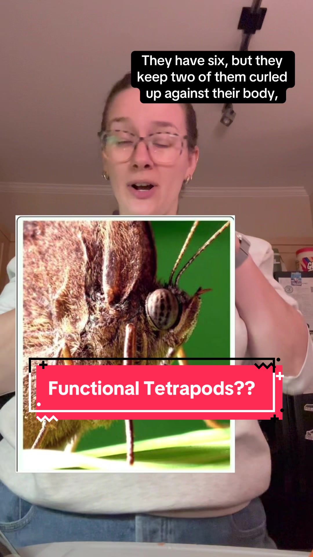 @Entomology Abby
