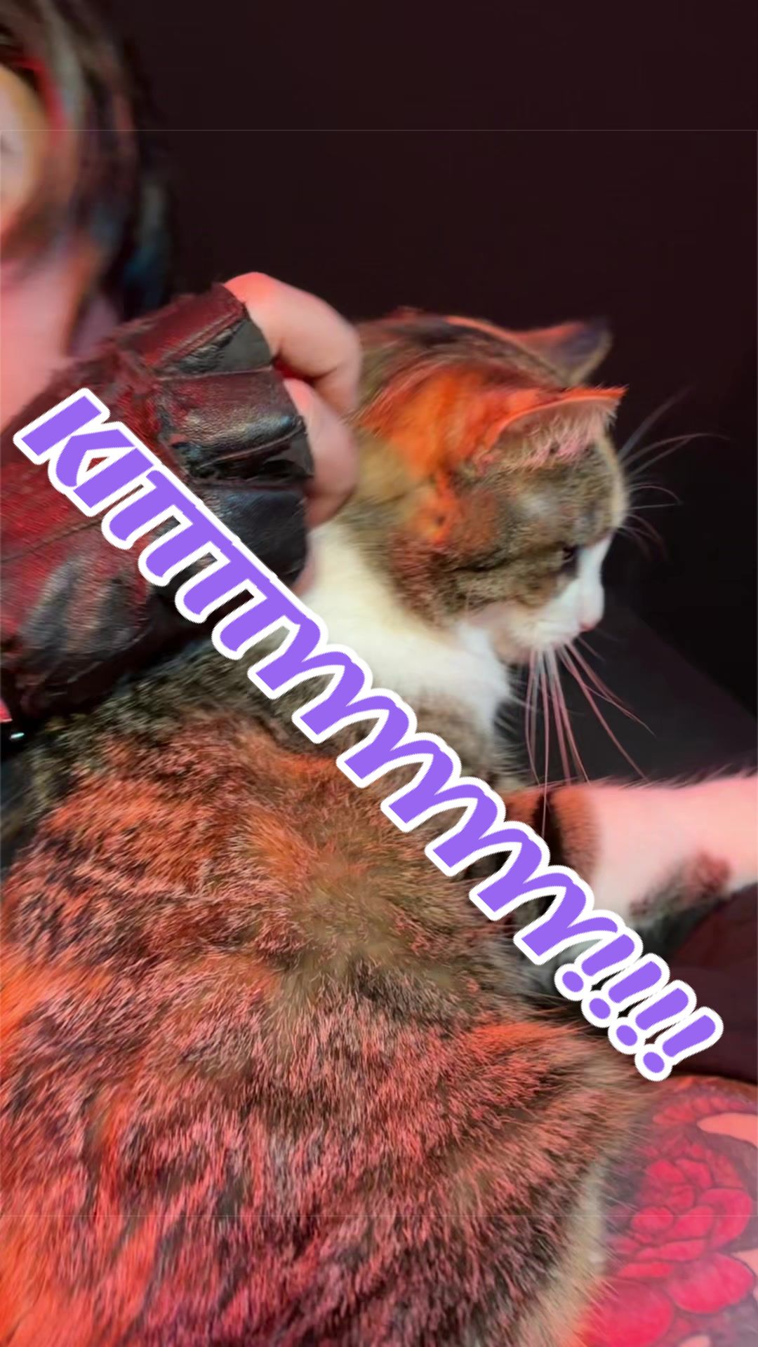 @Bluesquishy