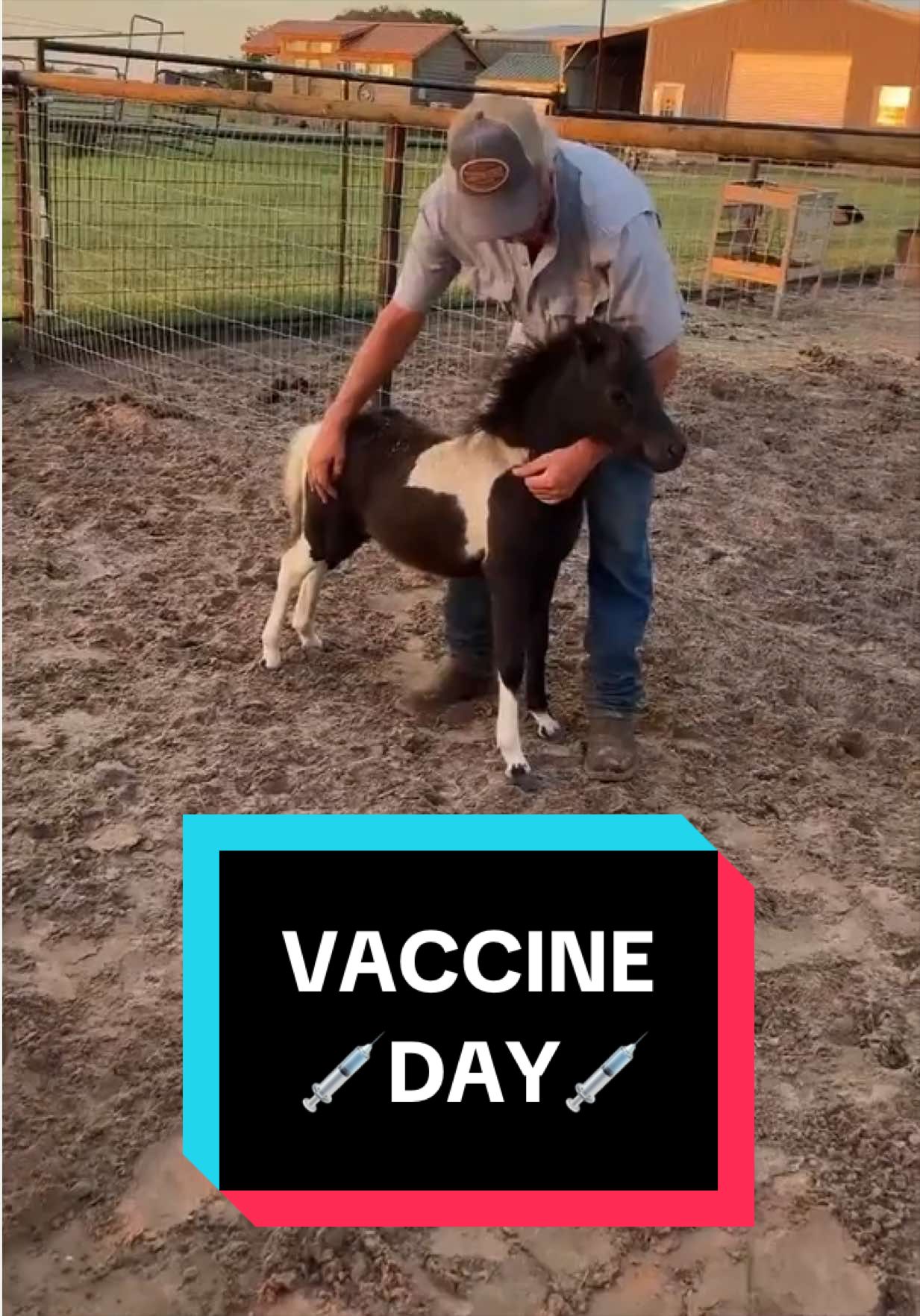 @Dr.Nicole-VetMed
