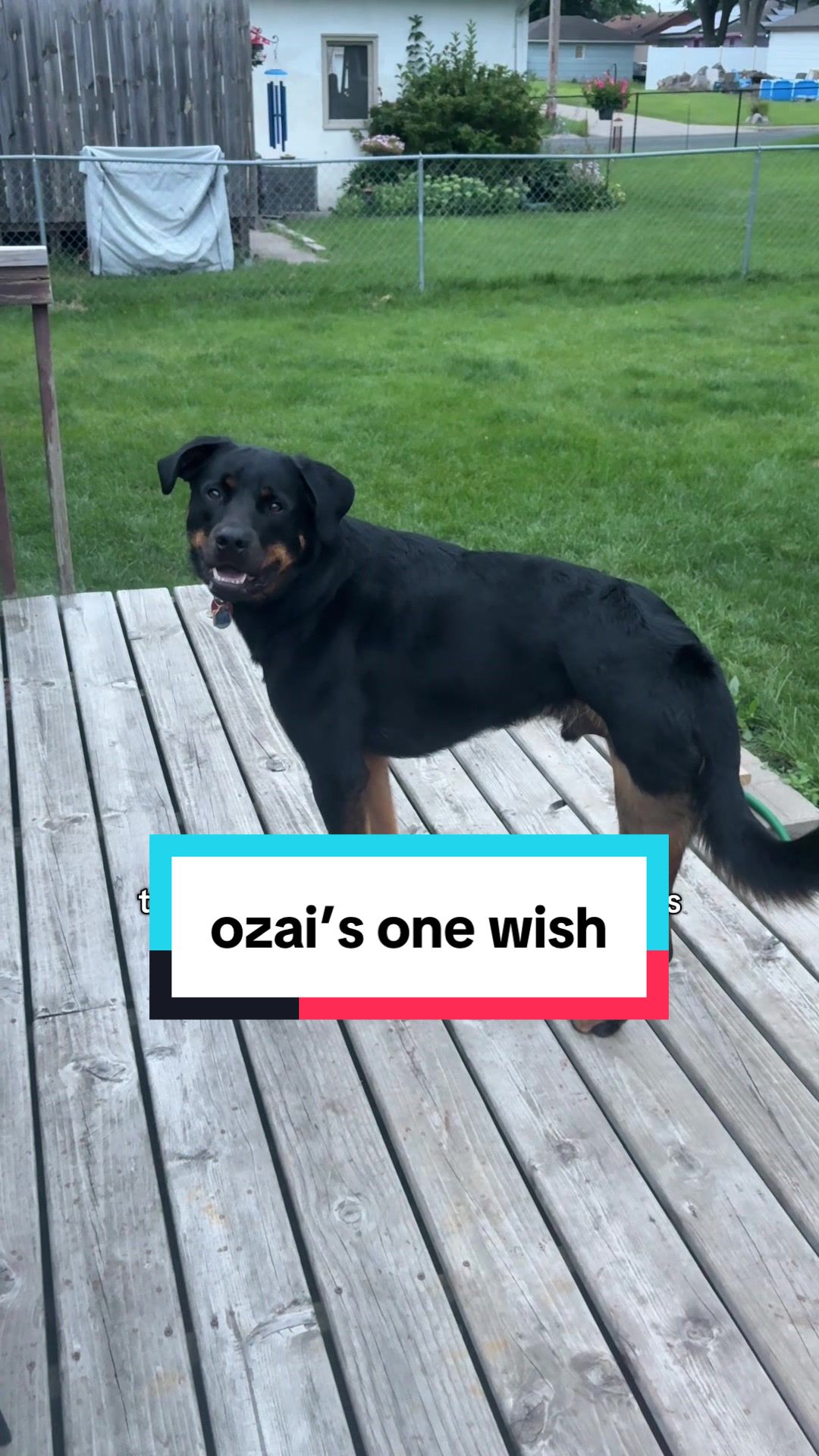 @Ozai the Tripod