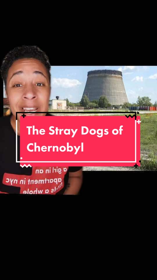 @Whoa There Em
