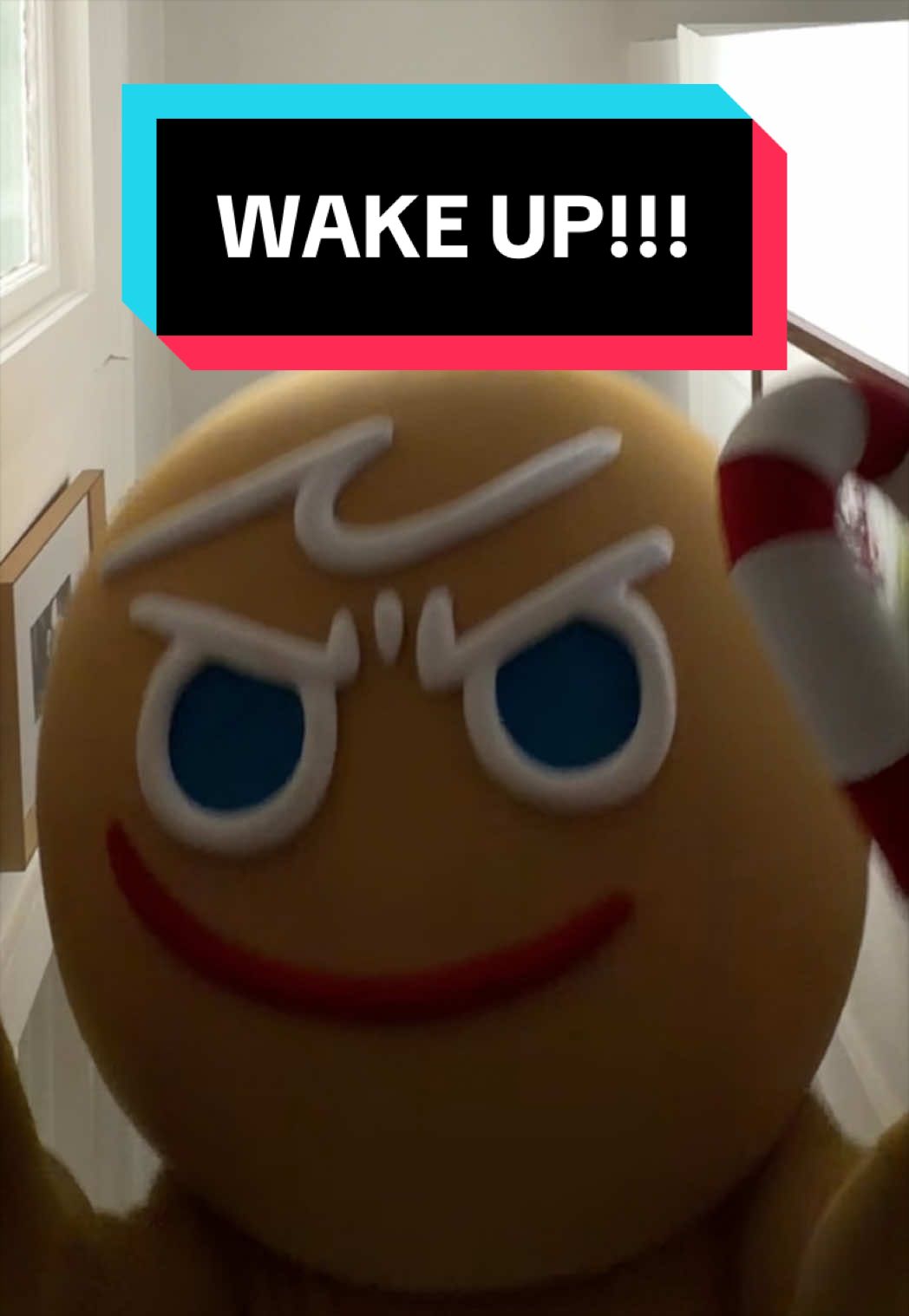 @CookieRun