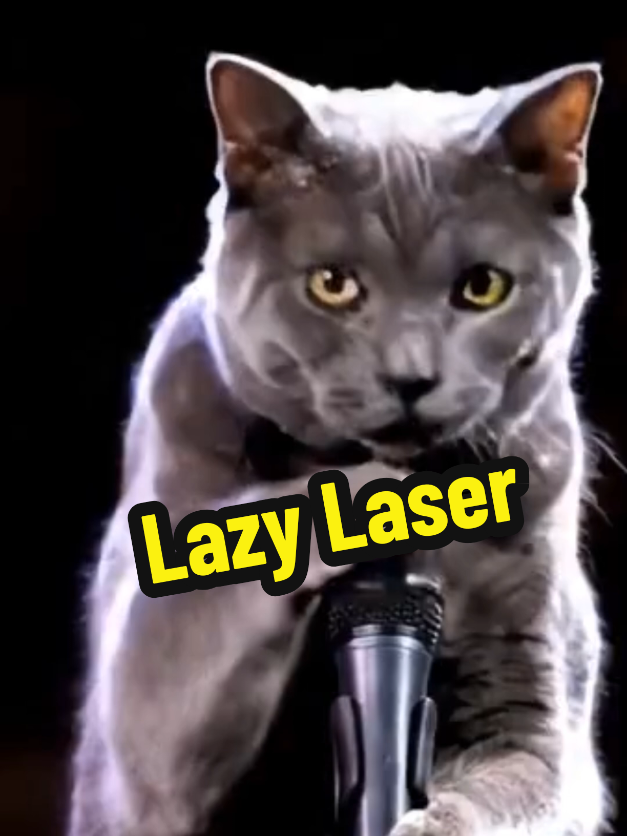 @comedyclubcats