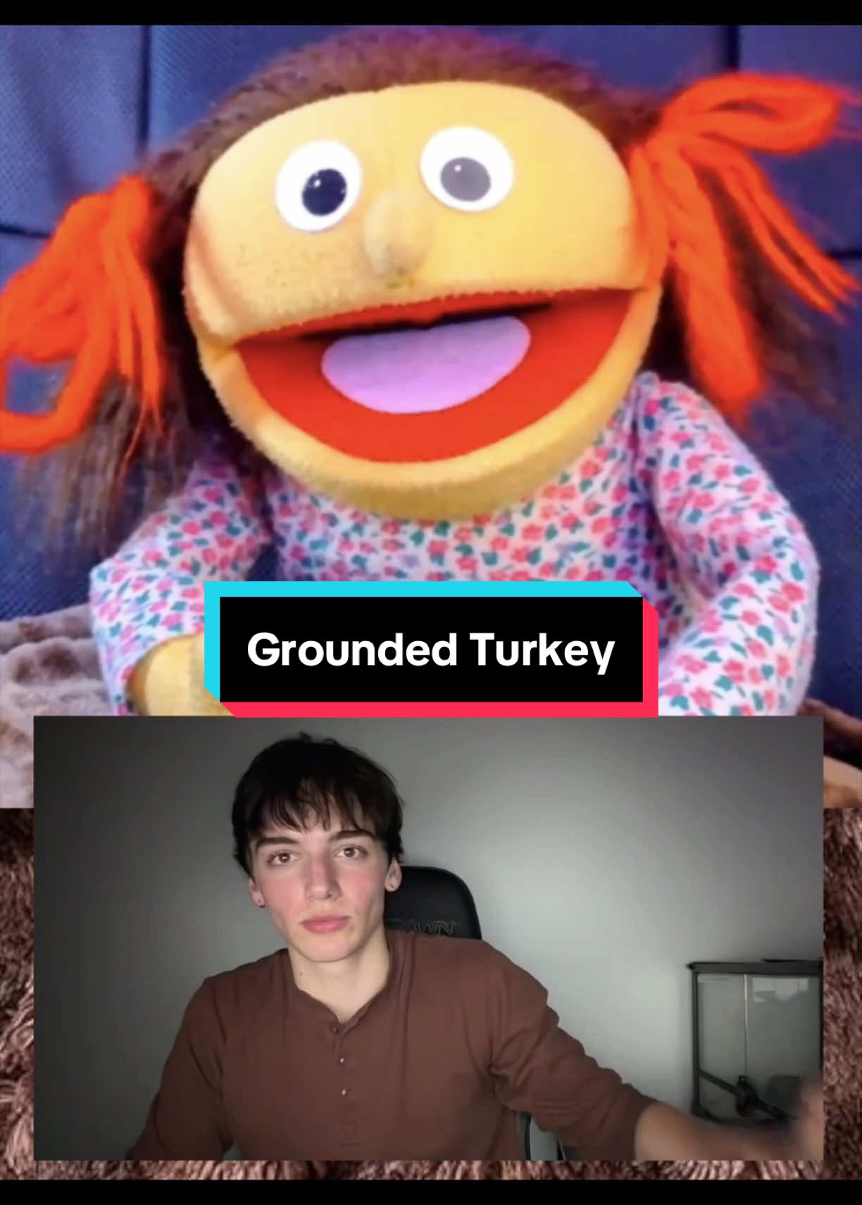 @PeterPrankster
