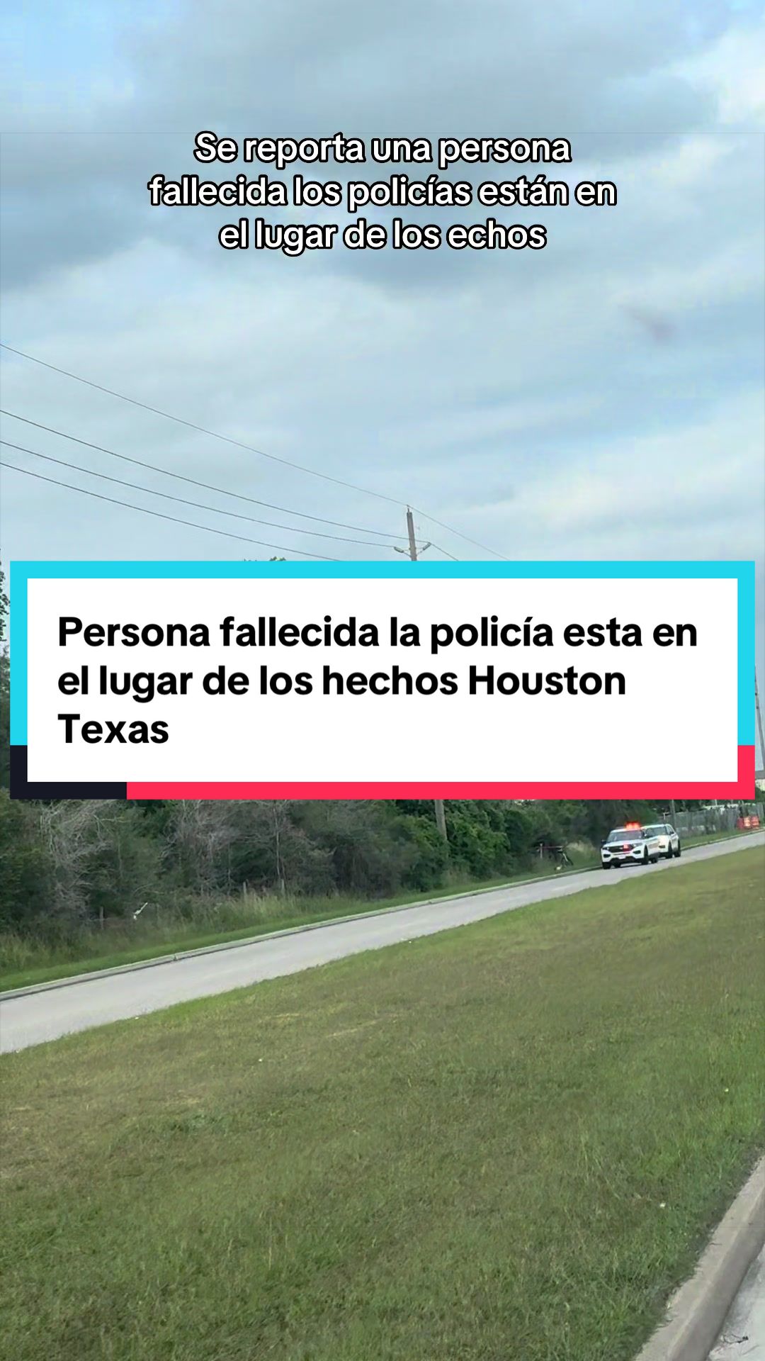 @Dany sanchez