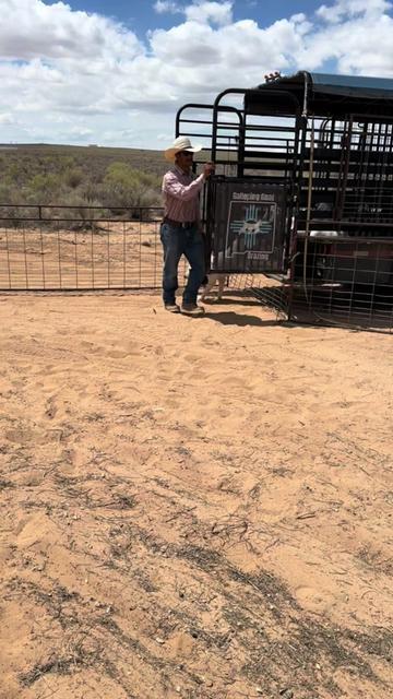 @cowboymax