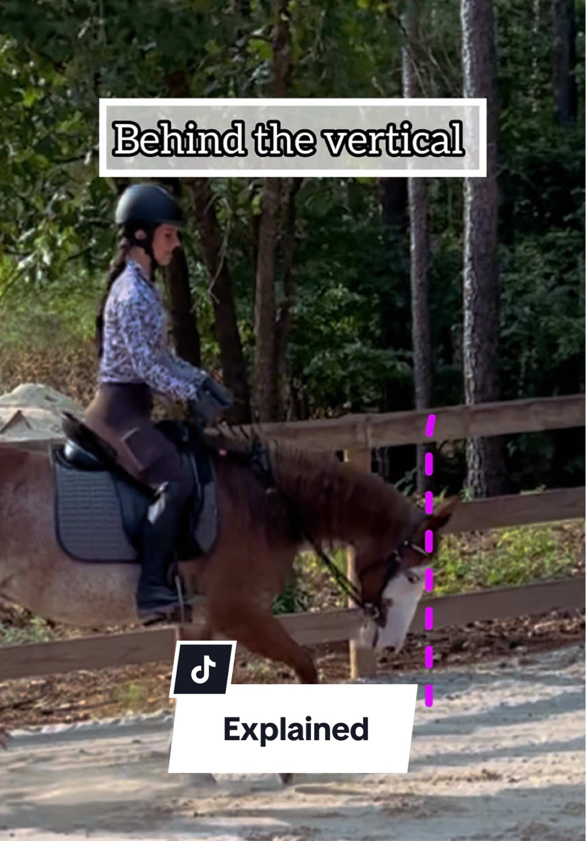 @TheSouthernHorsegirl