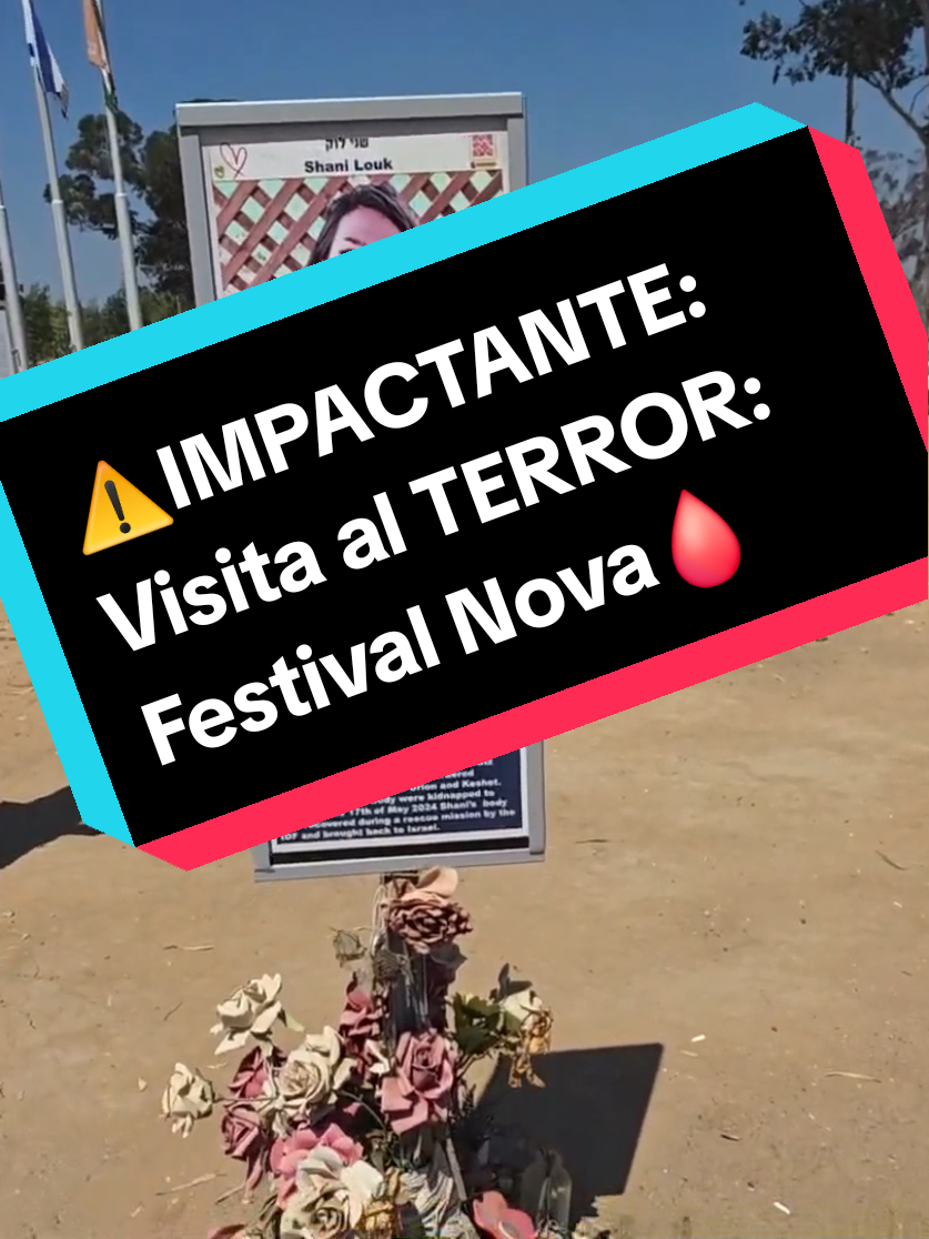 @Miguel Sánchez Ávila