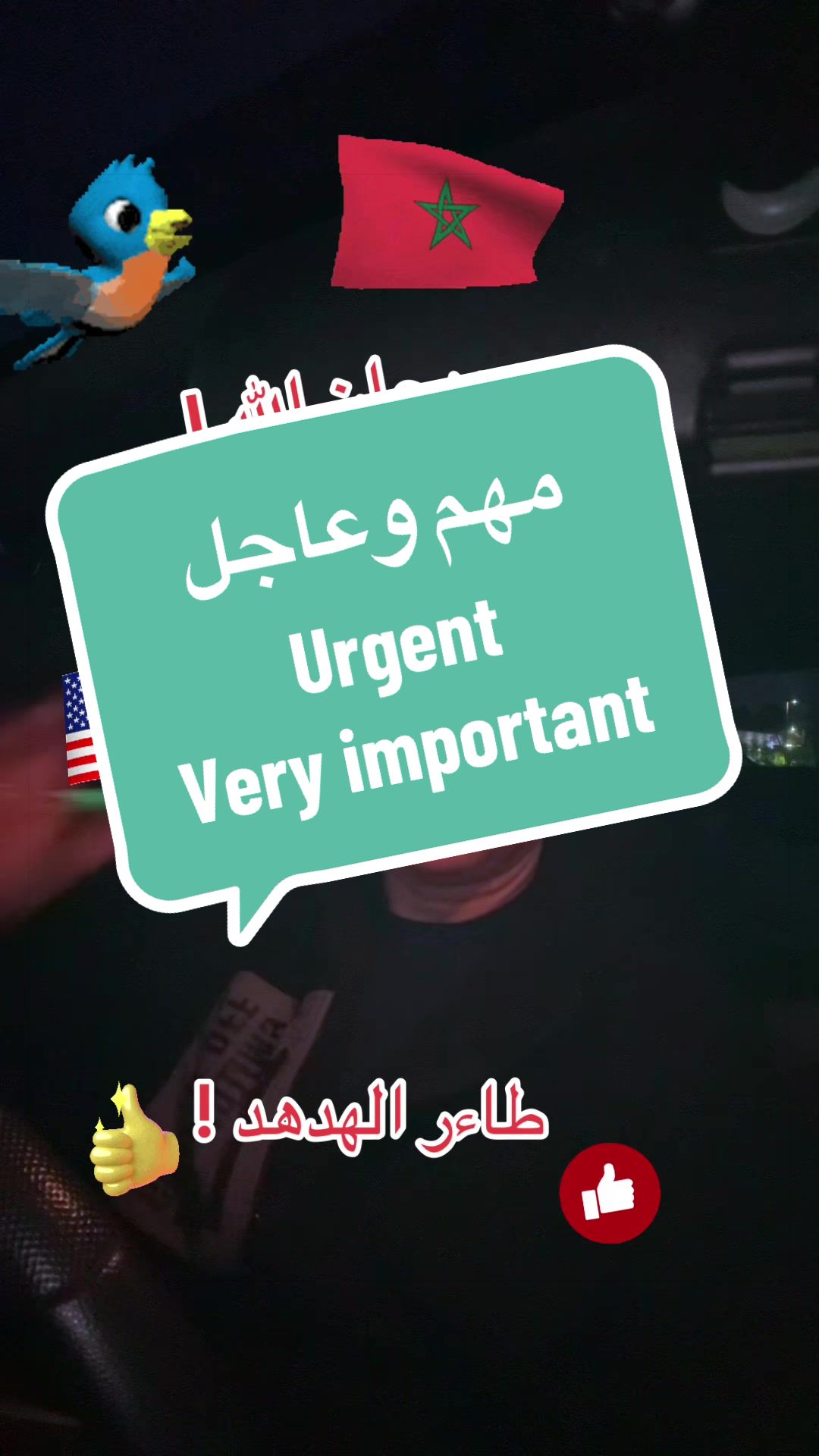 @SIMO-USA (سيمو-امريكا) !