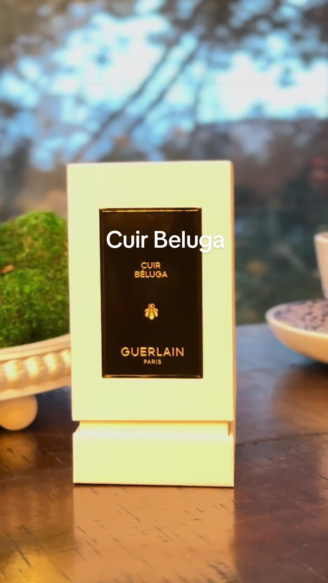 @chefscent 🧑🍳