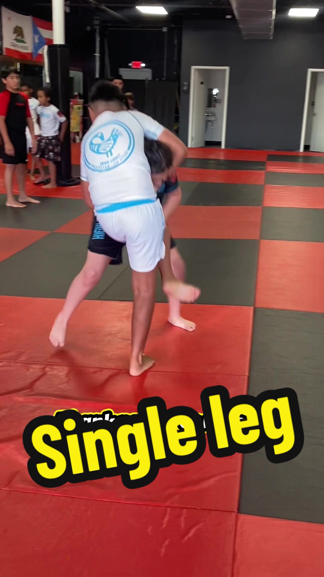 @Alayna BJJ