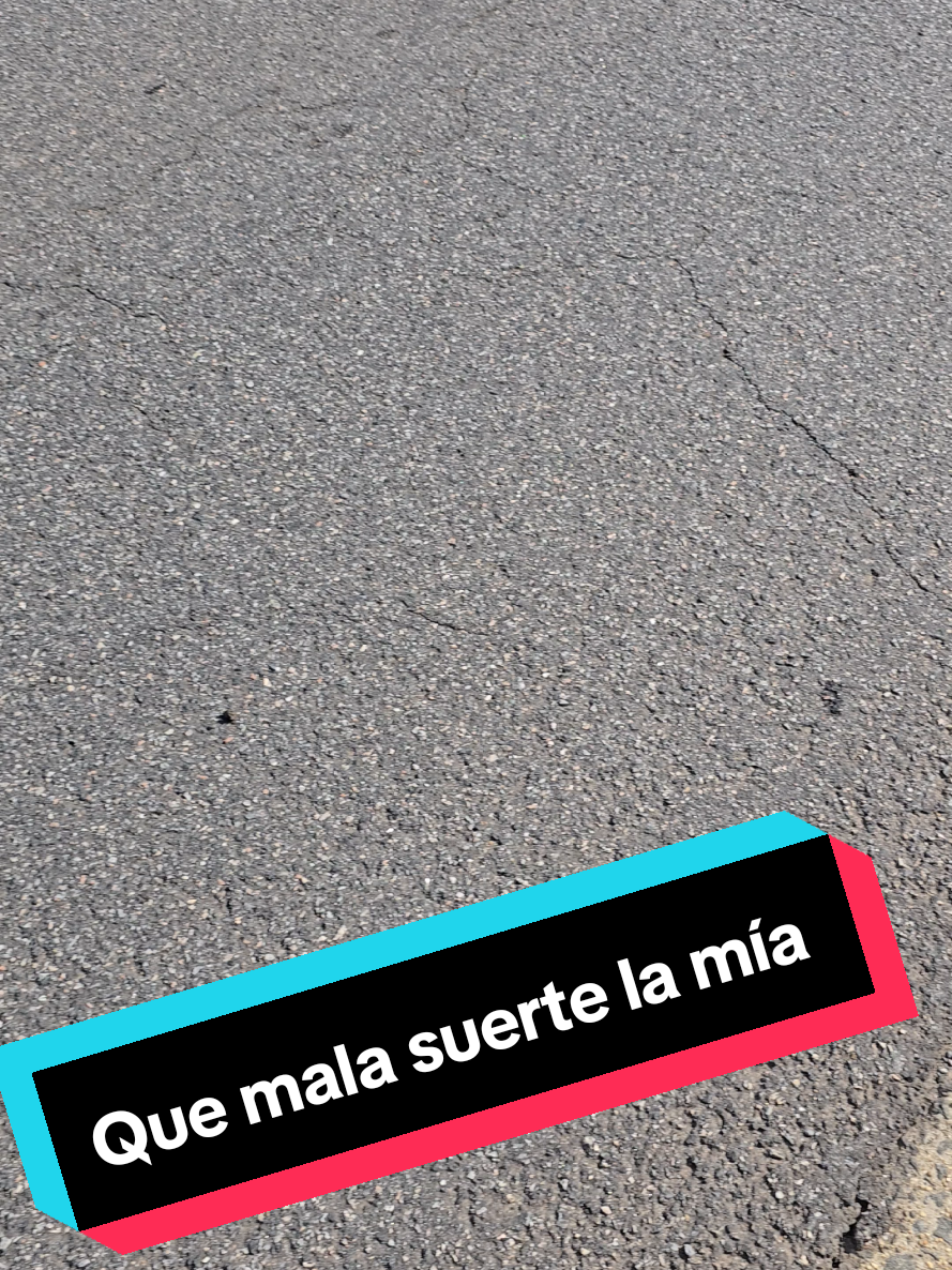 @Baja cars lovers