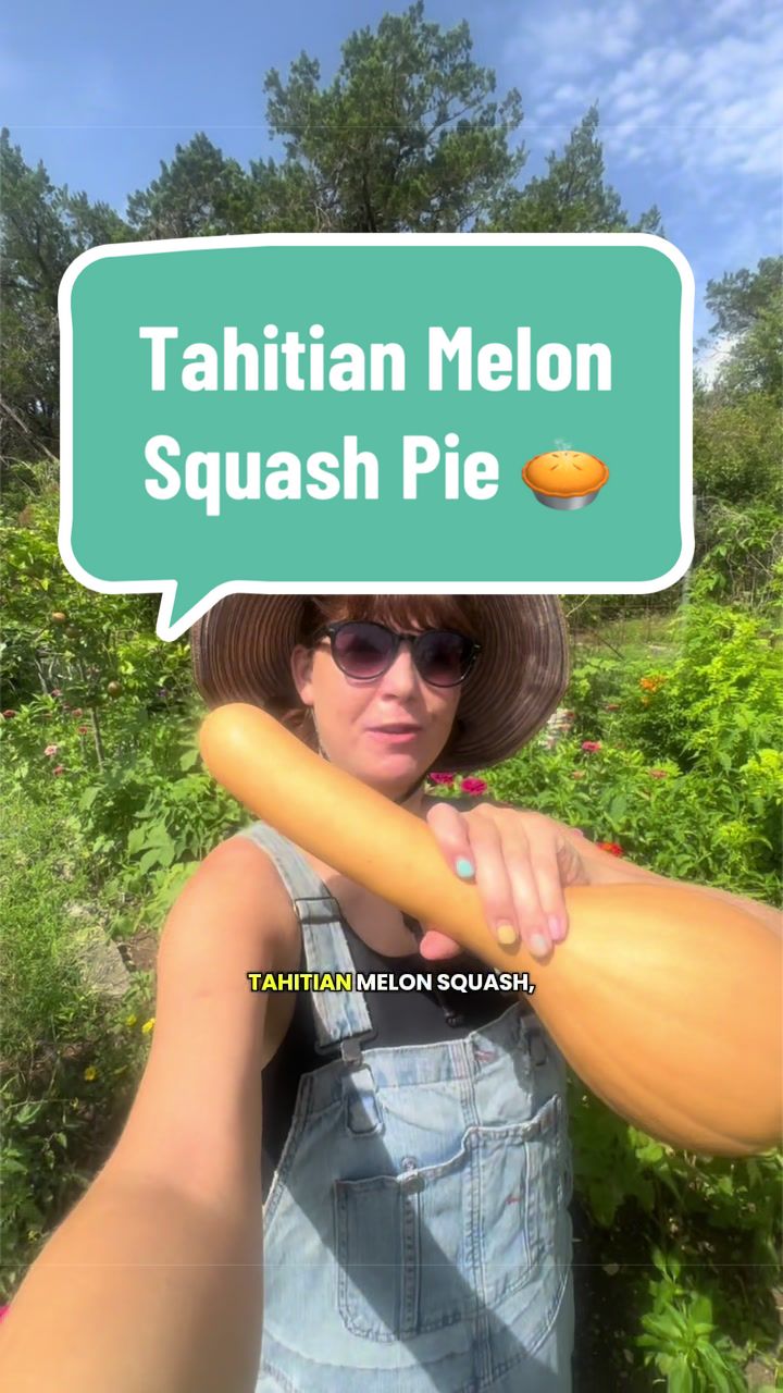 @Annie Bond | Metastatic Baddie