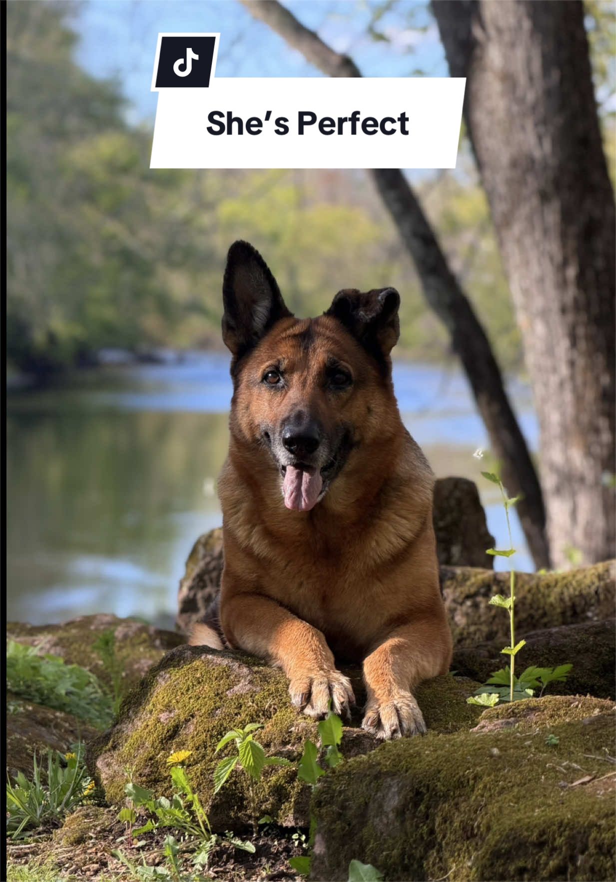 @OffLeash Outdoors