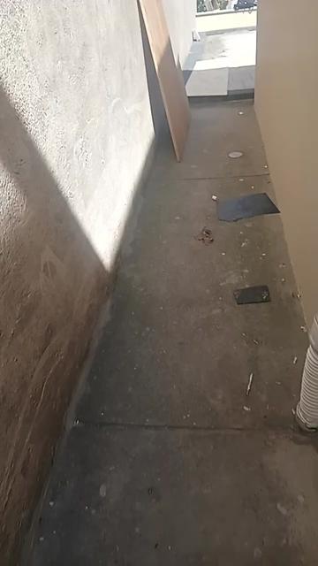 @el rey de los dise&ntilde;os en NY