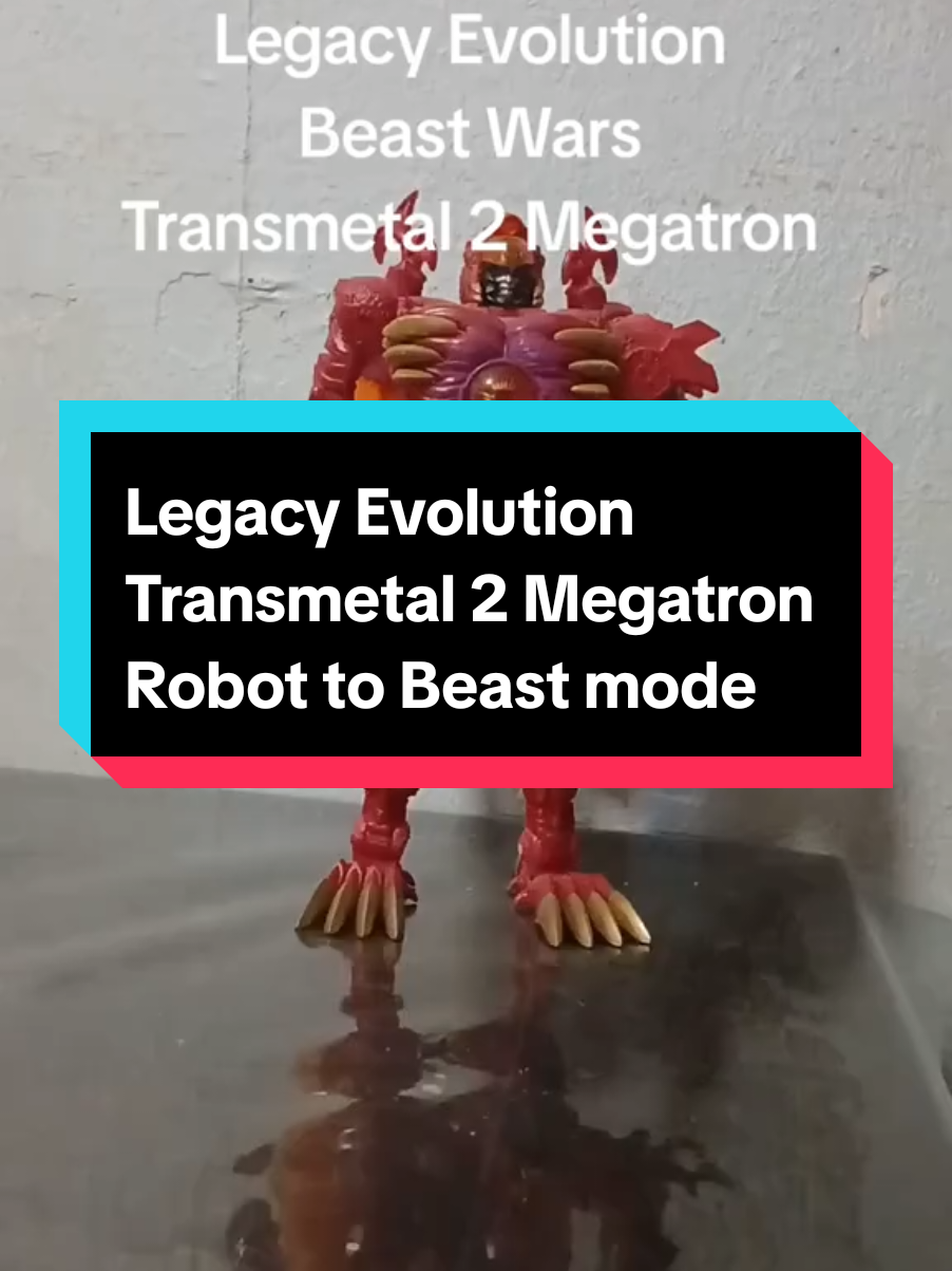 @Transformers collector