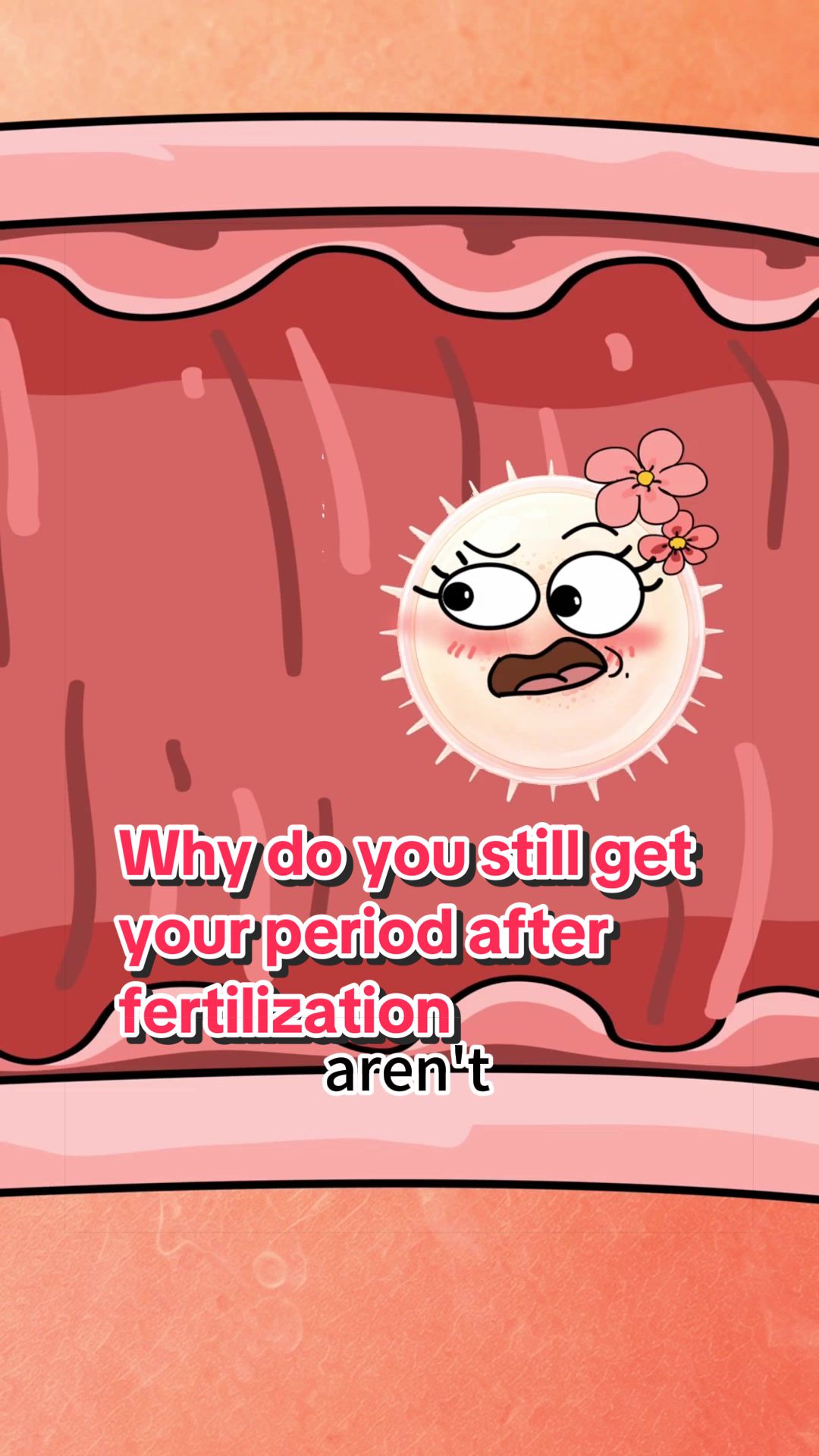 @Funny Animations
