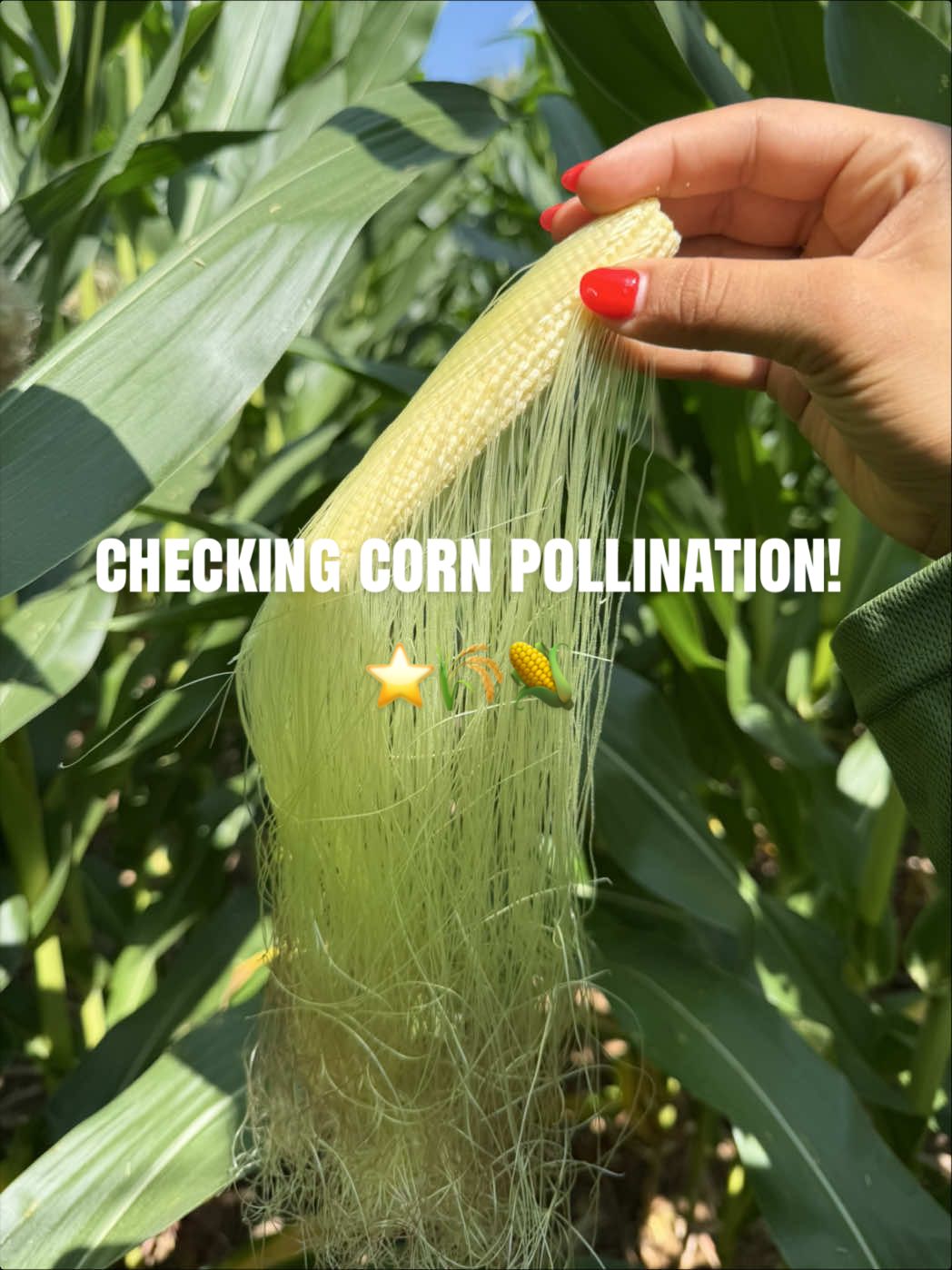 @JENNA 🌽