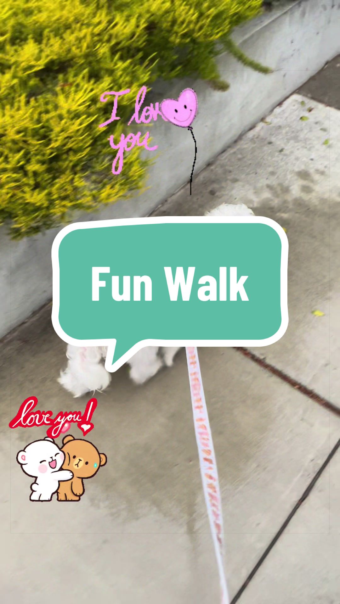 @Coco_puppysf