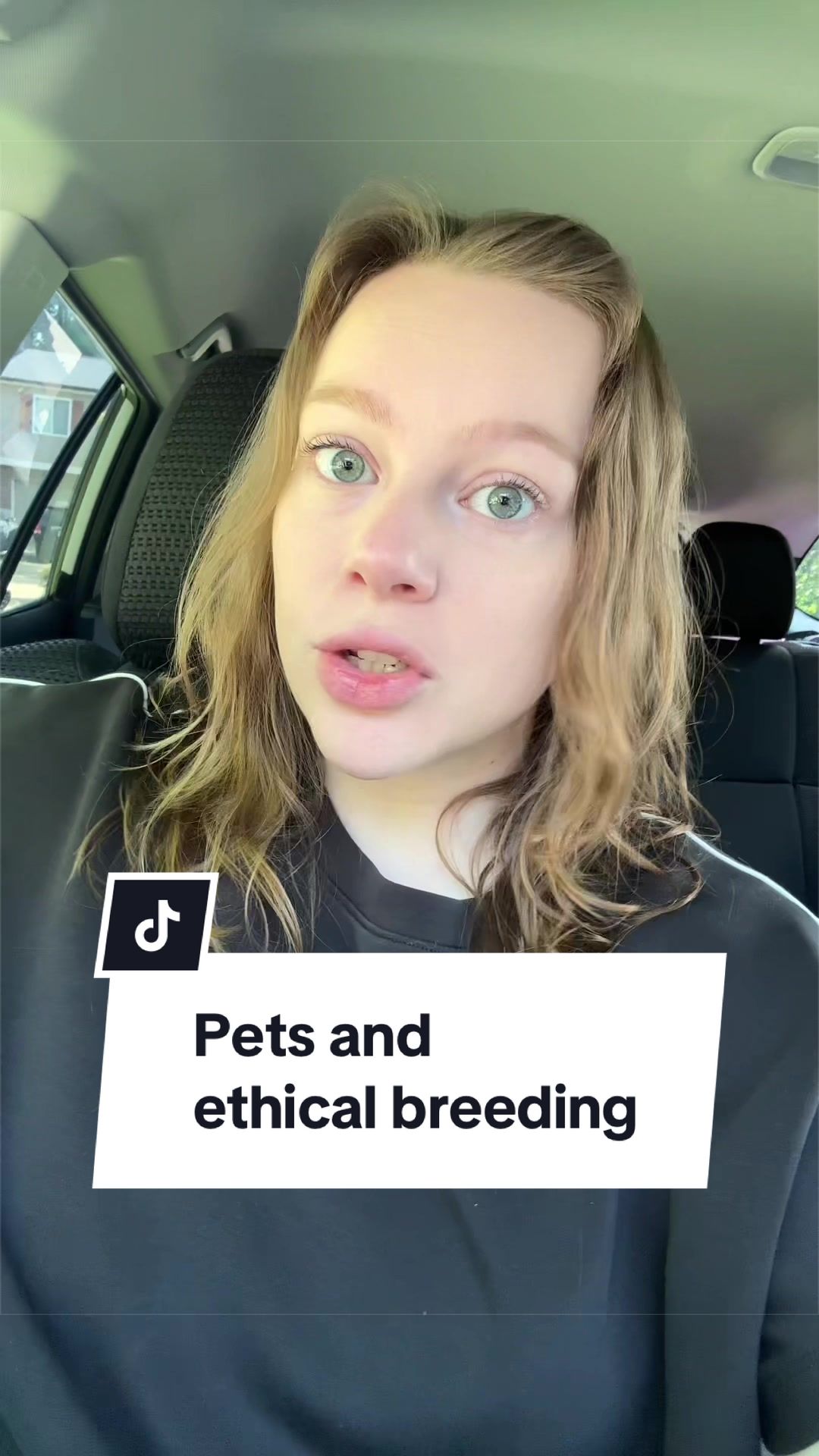 @Maddie, Jovie & Nessie🤍🤎🐩