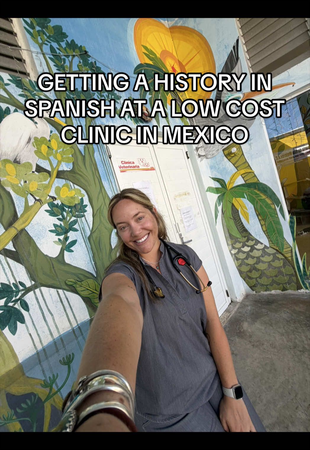 @heyamigainvetschool