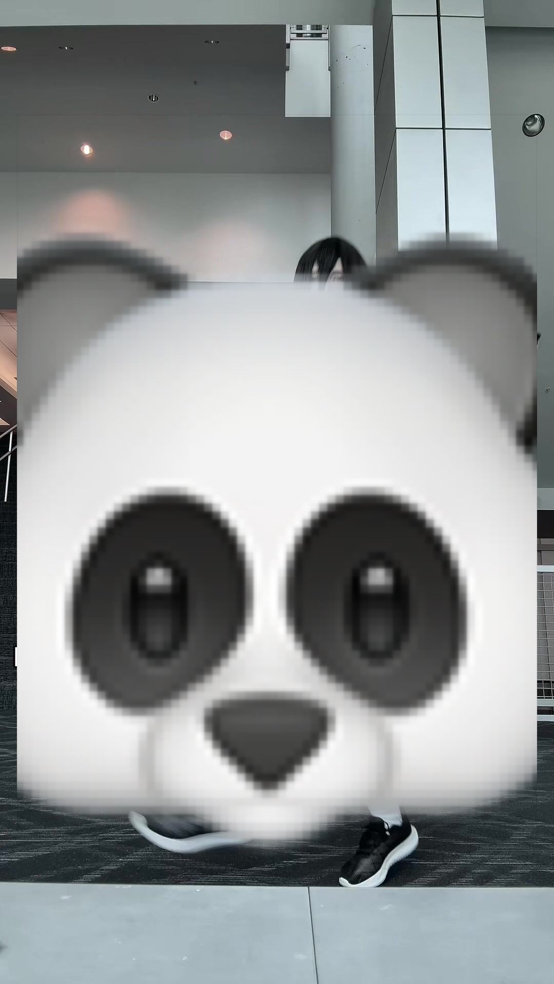 @ωєѕту᯽ ݁˖ 🐯кυηg ℓασѕ ˖᯽ ݁ ˖