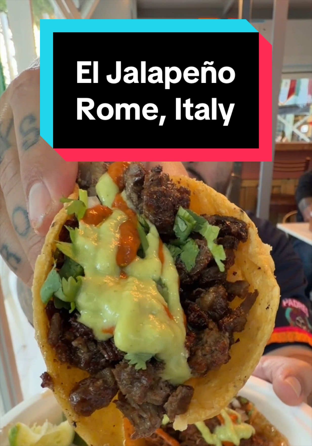 @The Taco Fiend