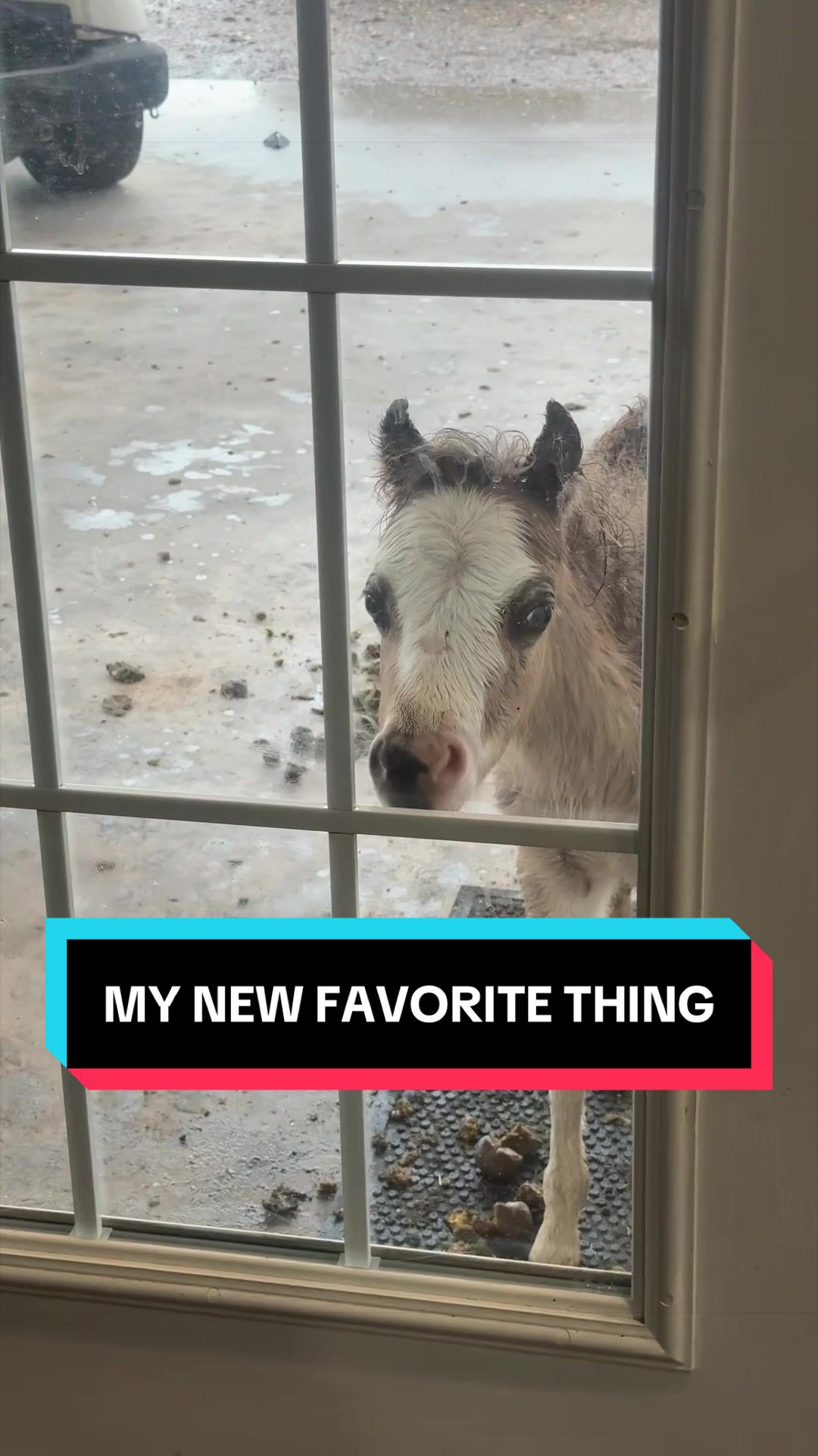 @Dr.Nicole-VetMed
