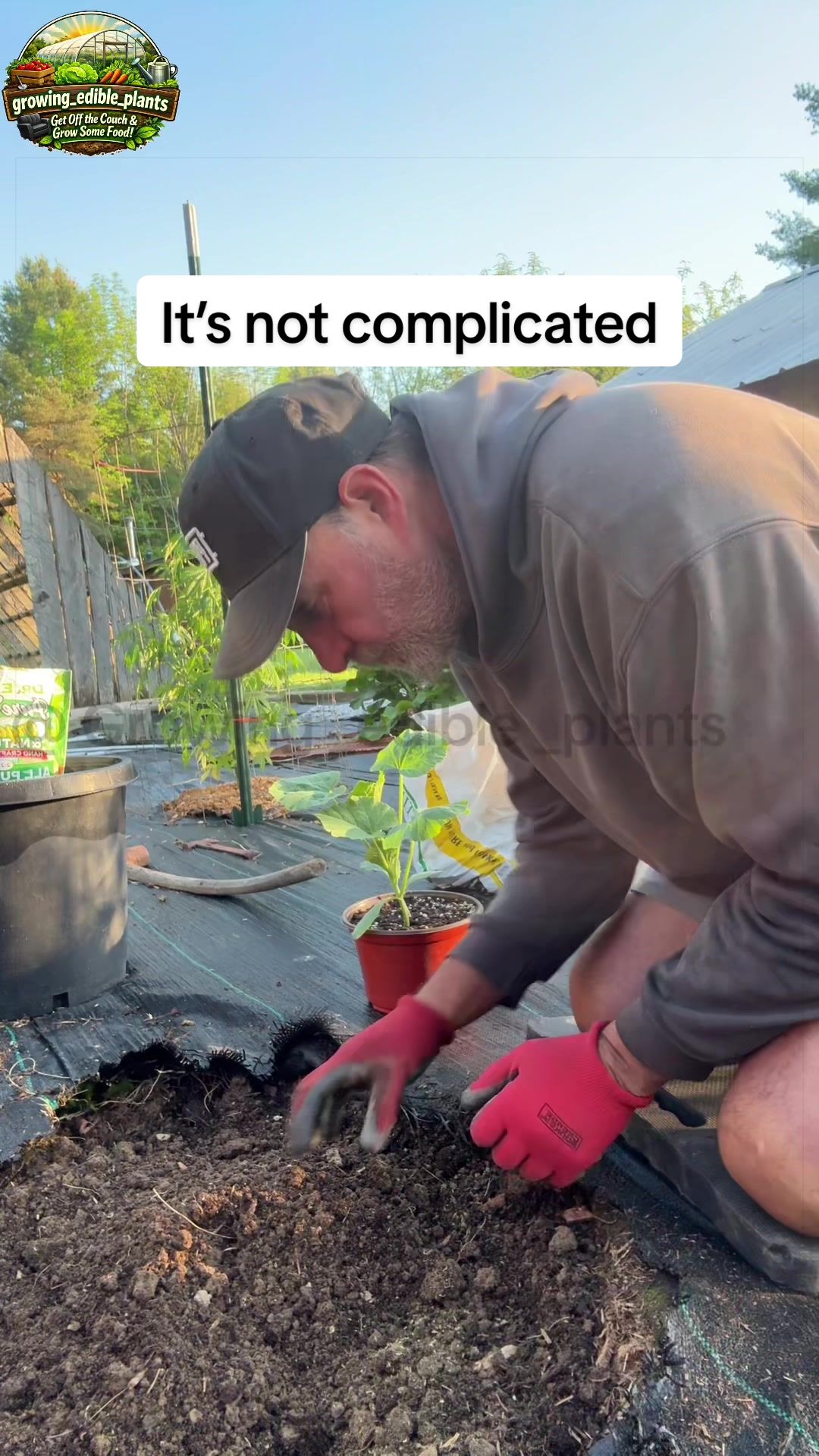 @GROWING_EDIBLE_PLANTS