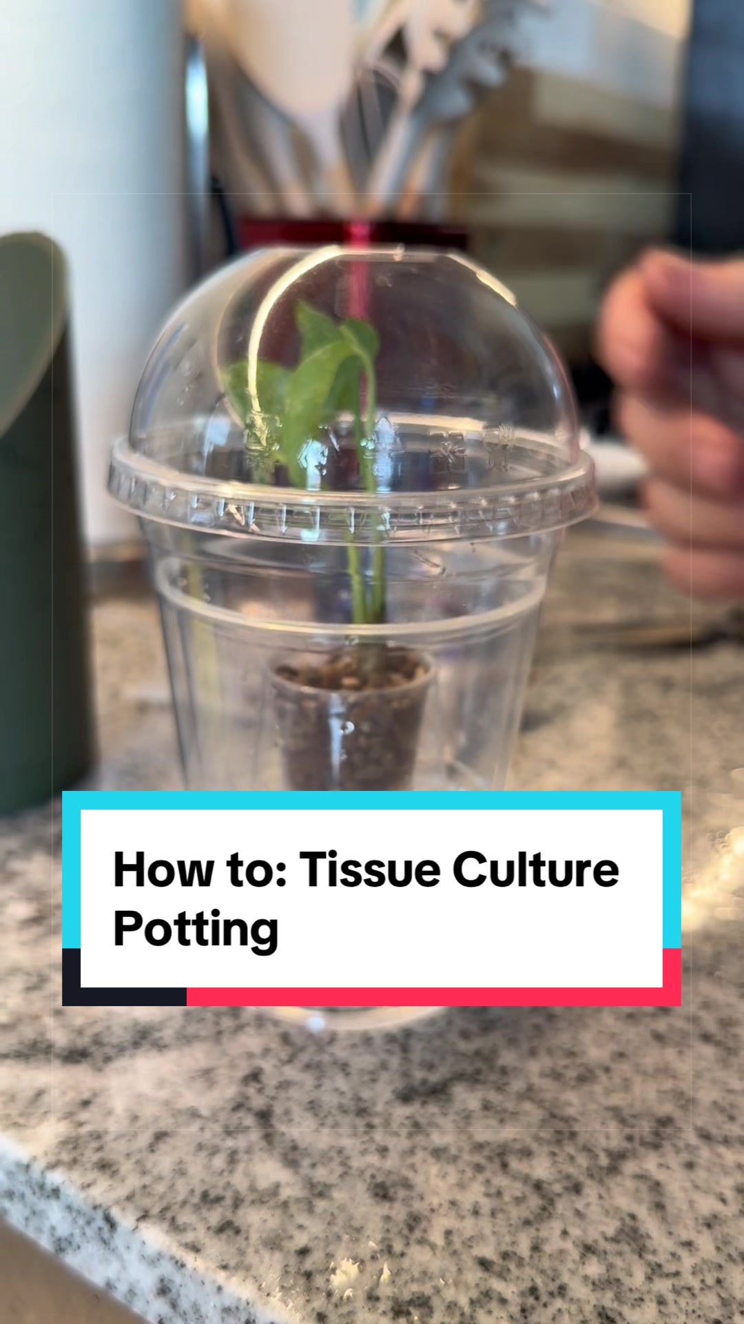 @Brandon The Plant Guy