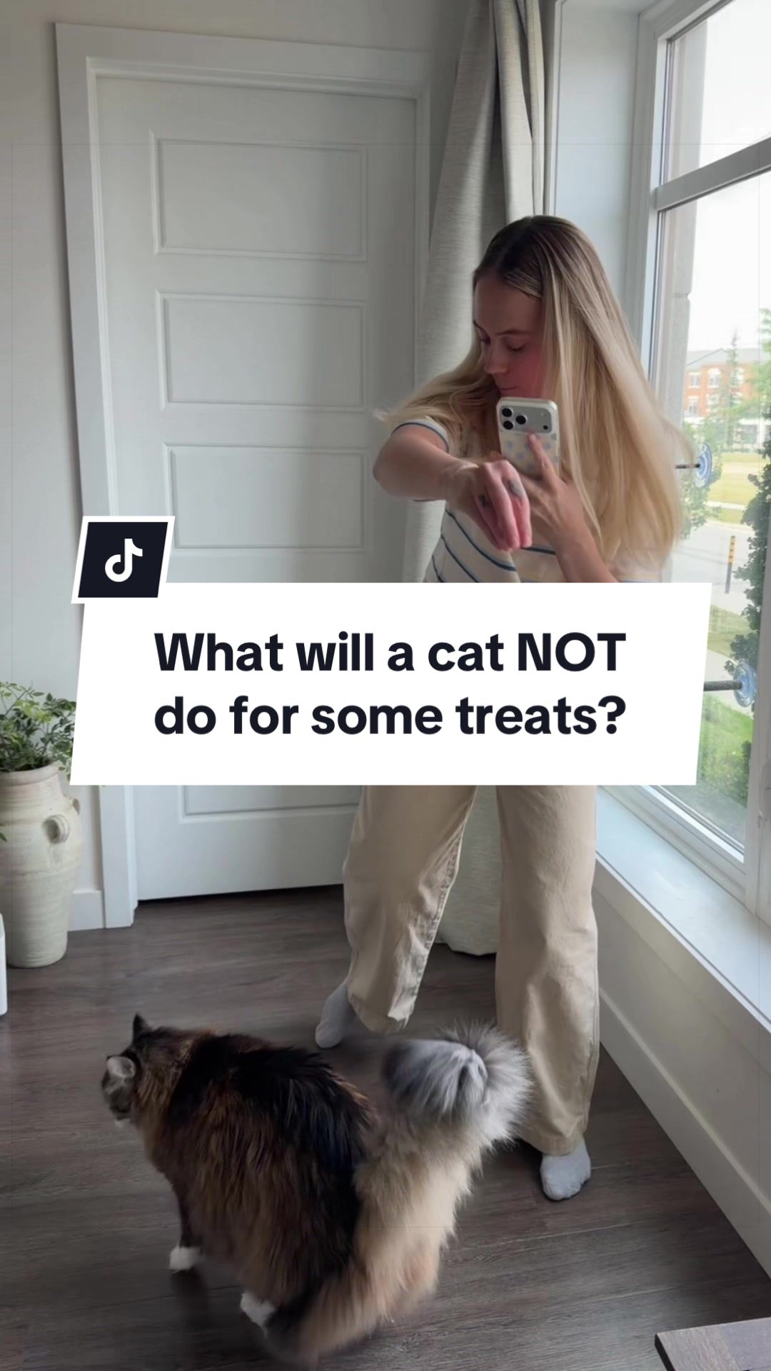 @Tuft & Paw