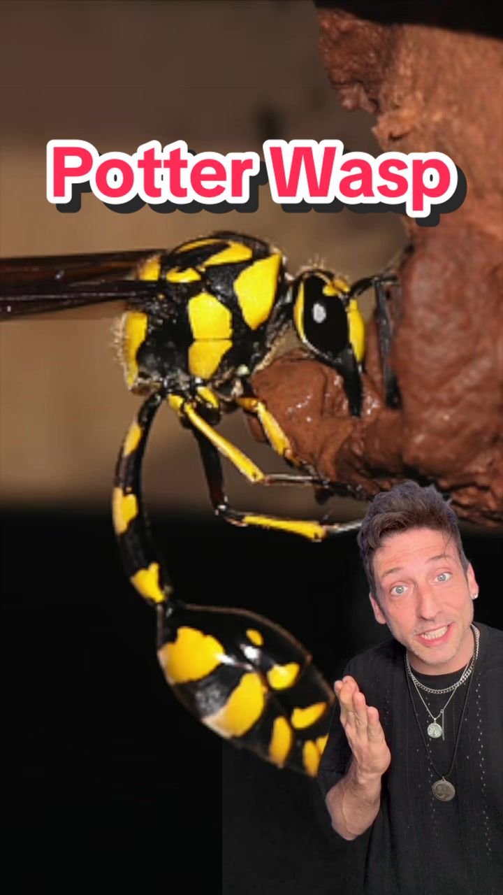 @Odd Danny