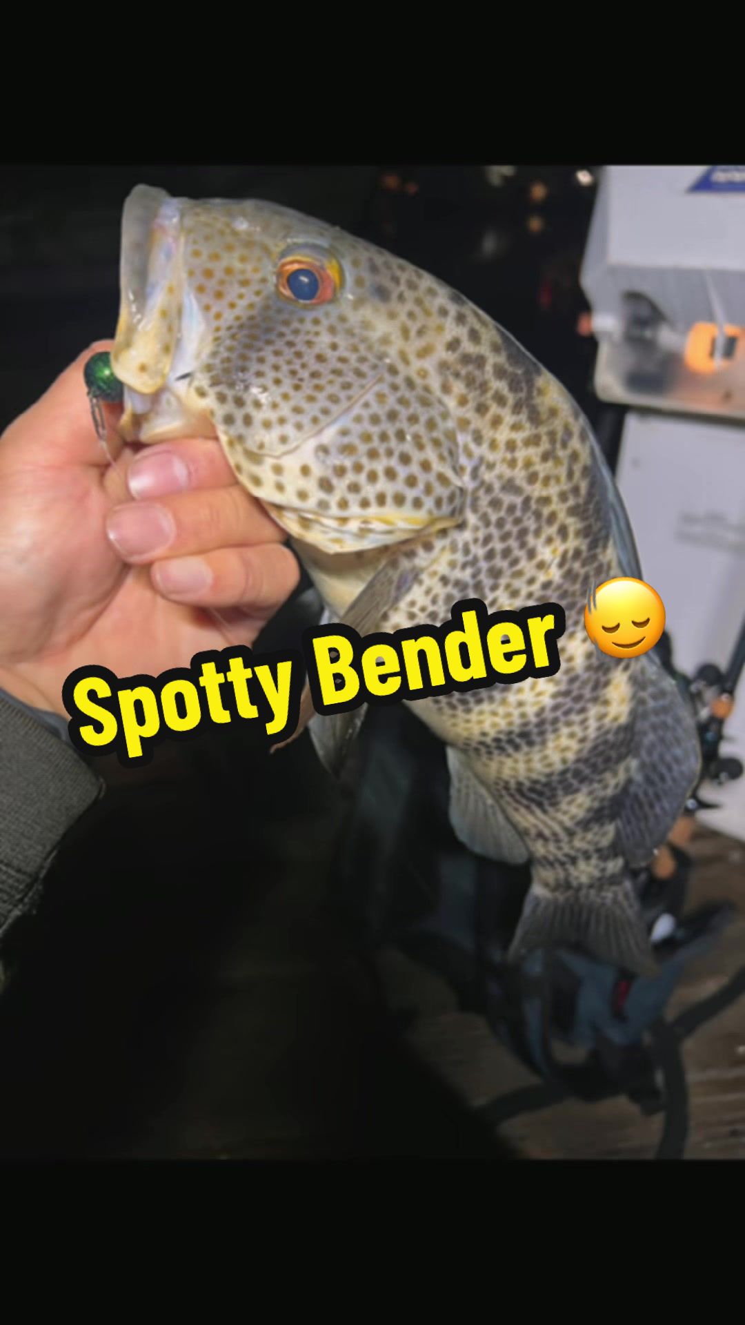 @BP FISHING